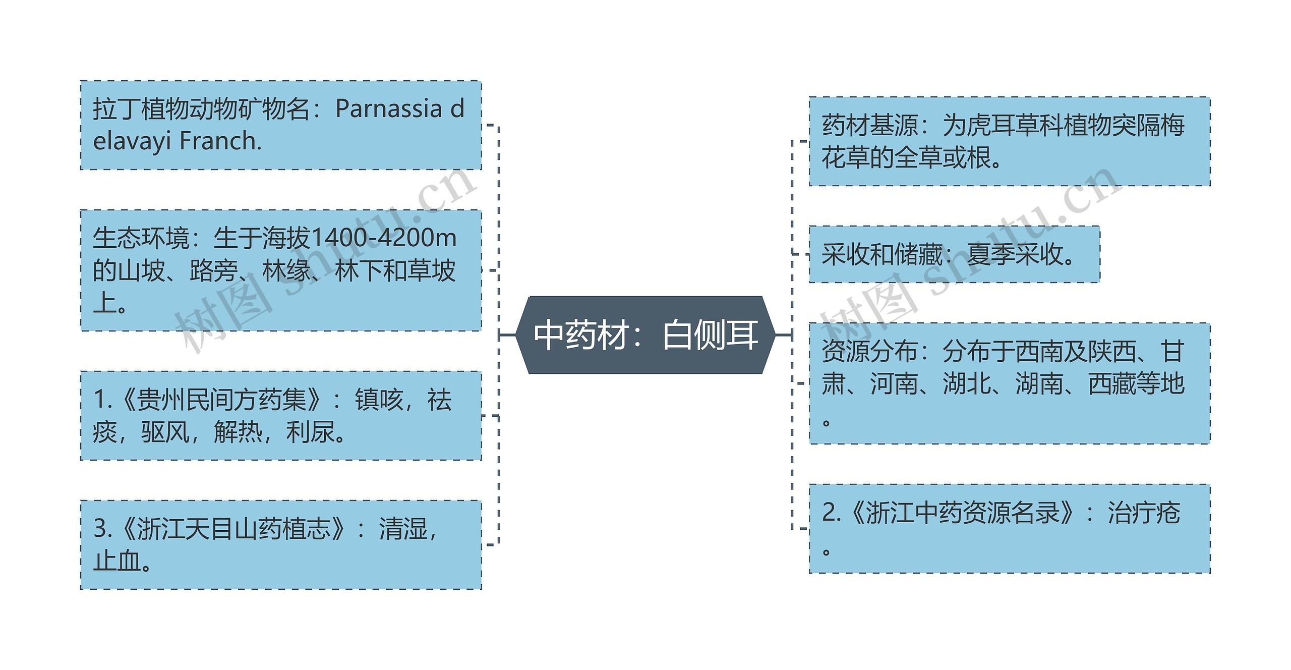 中药材：白侧耳思维导图