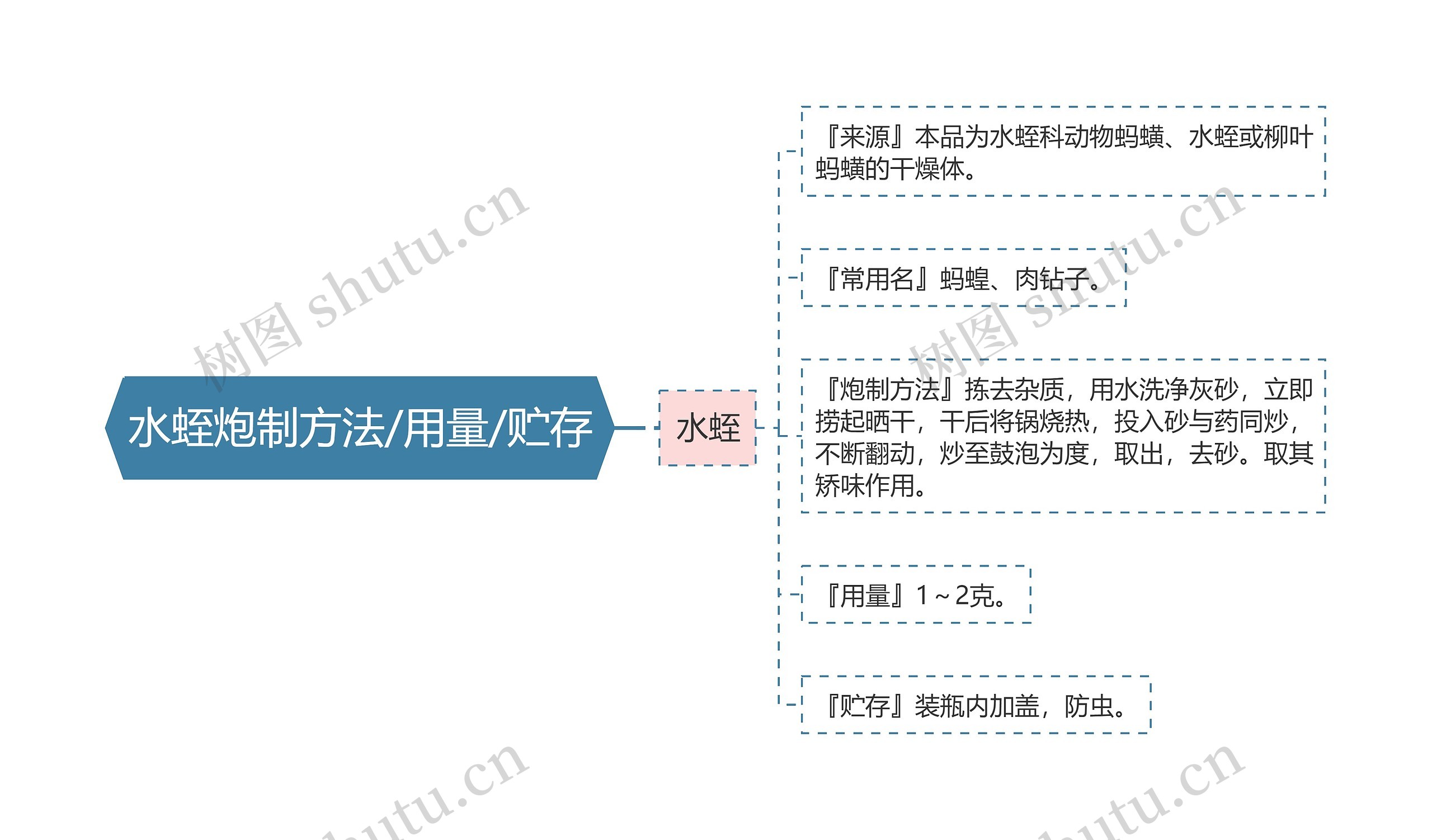 水蛭炮制方法/用量/贮存思维导图