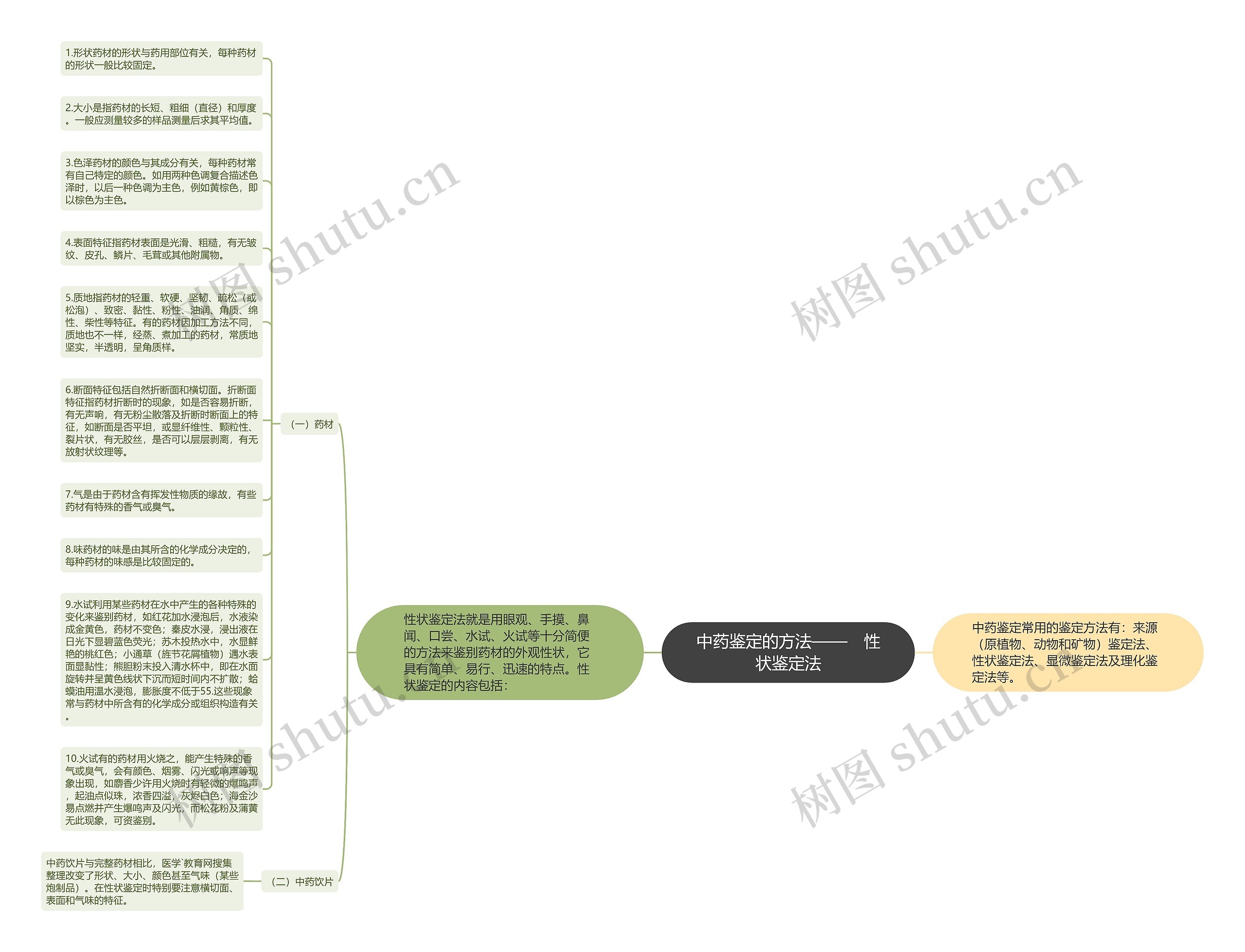 中药鉴定的方法——　性状鉴定法思维导图