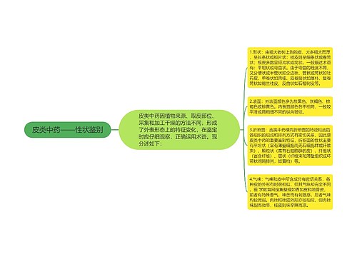 皮类中药——性状鉴别