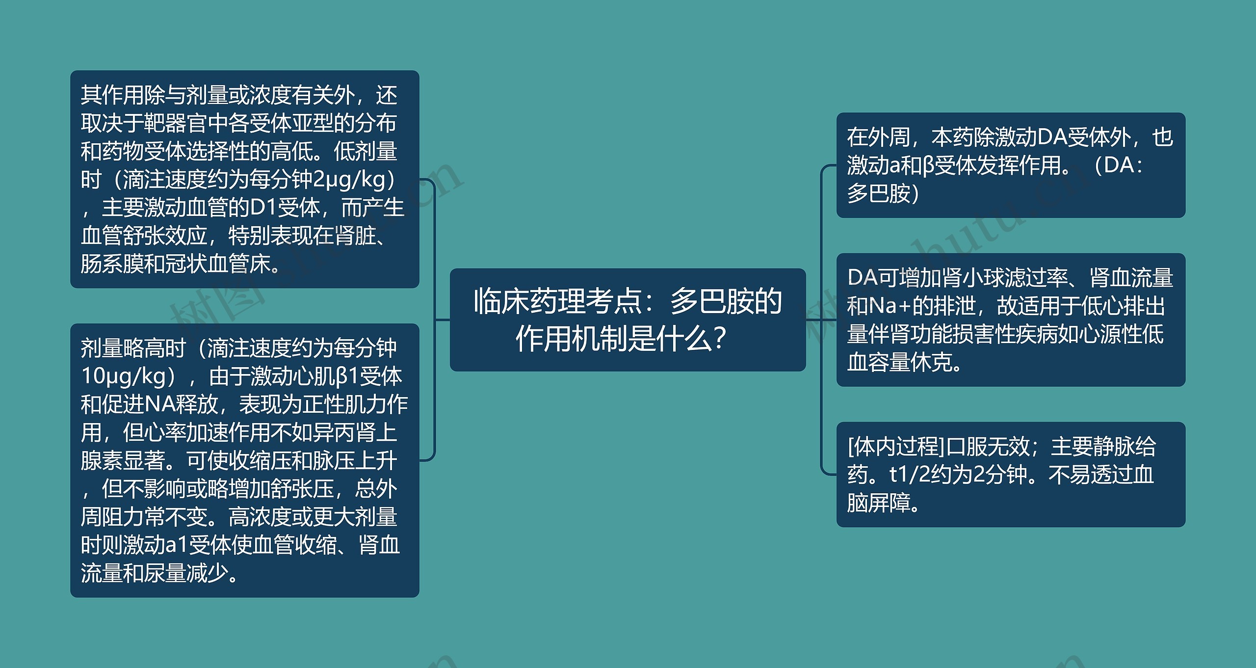 临床药理考点：多巴胺的作用机制是什么？思维导图