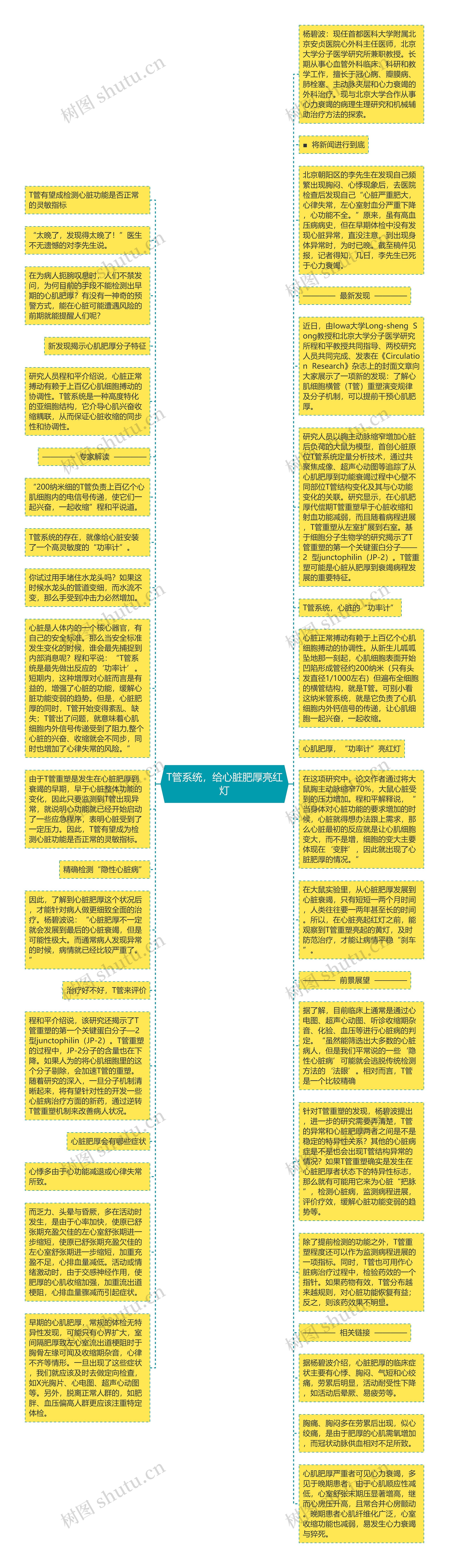 T管系统，给心脏肥厚亮红灯思维导图