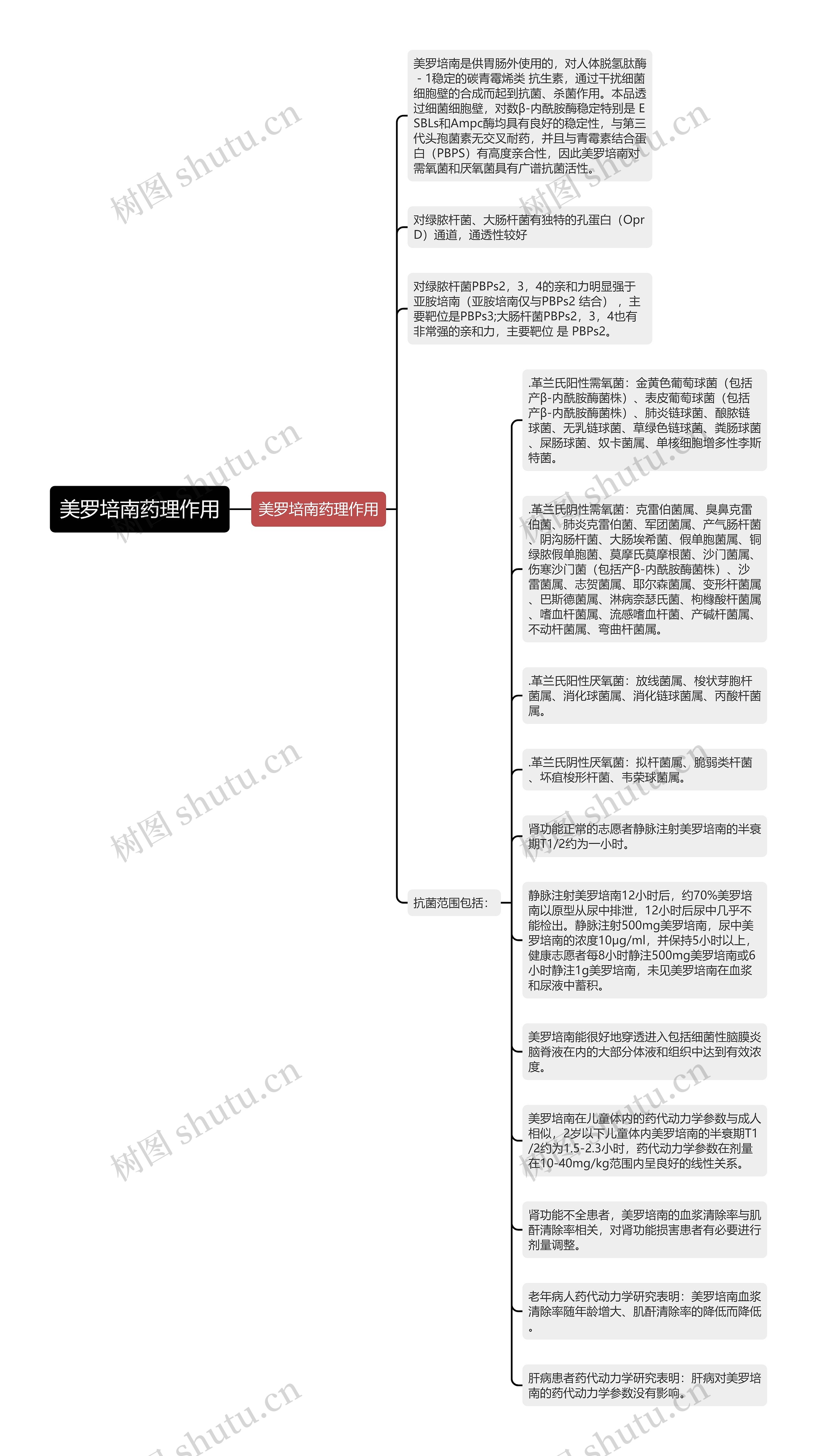 美罗培南药理作用思维导图