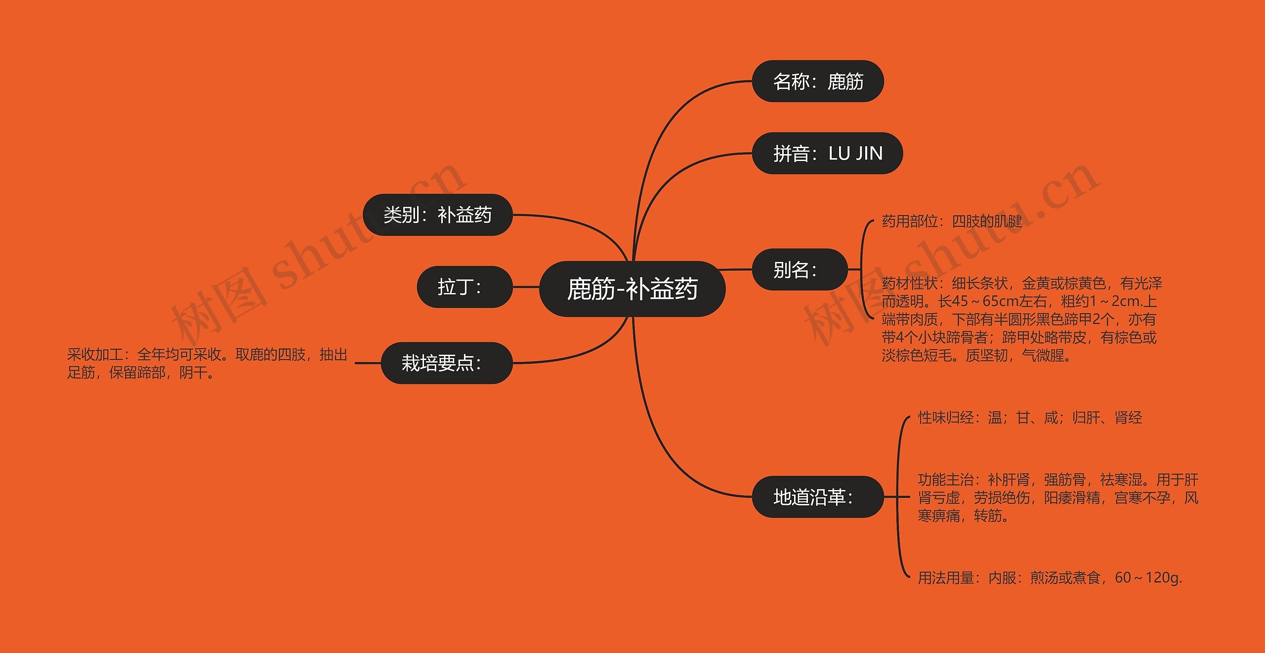 鹿筋-补益药思维导图