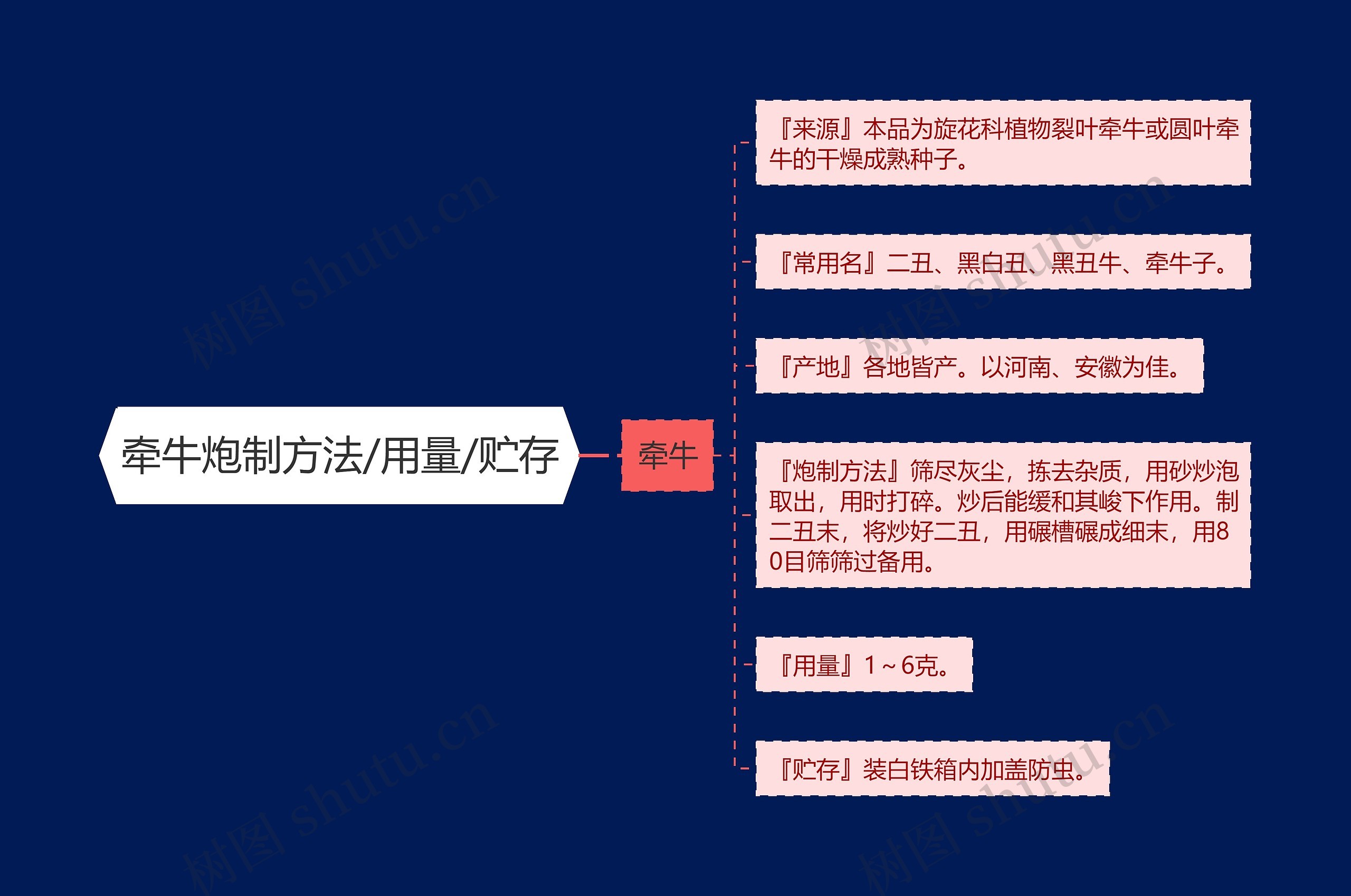 牵牛炮制方法/用量/贮存思维导图