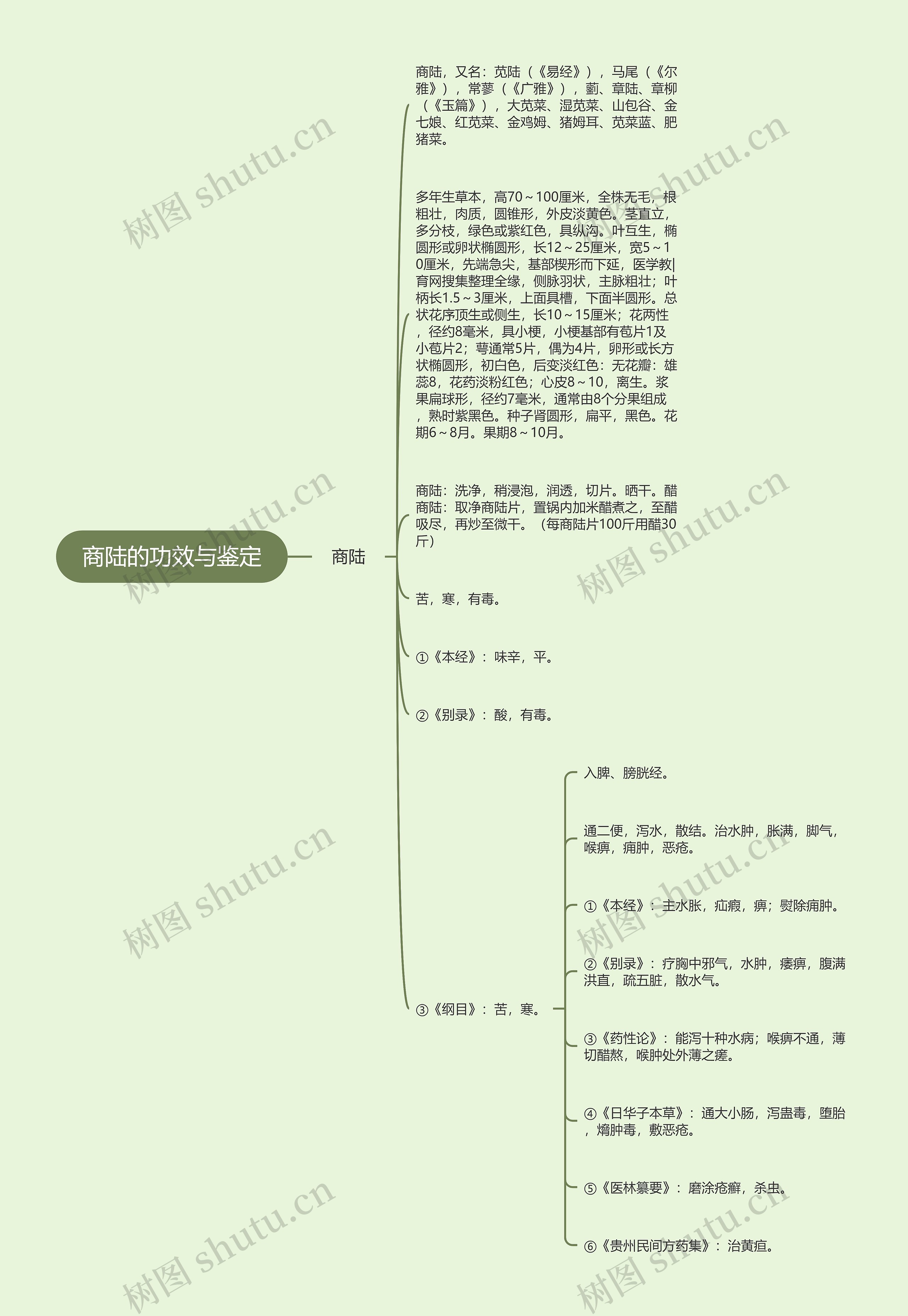 商陆的功效与鉴定 商陆的功效与鉴定