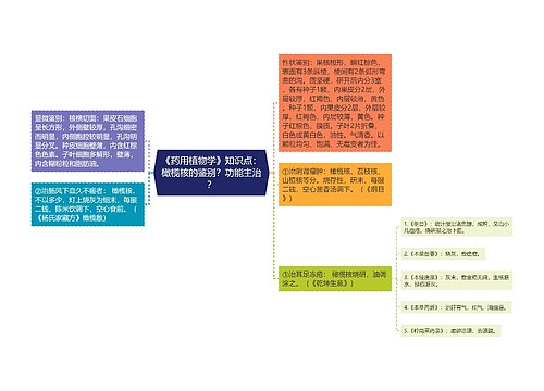 《药用植物学》知识点：橄榄核的鉴别？功能主治？