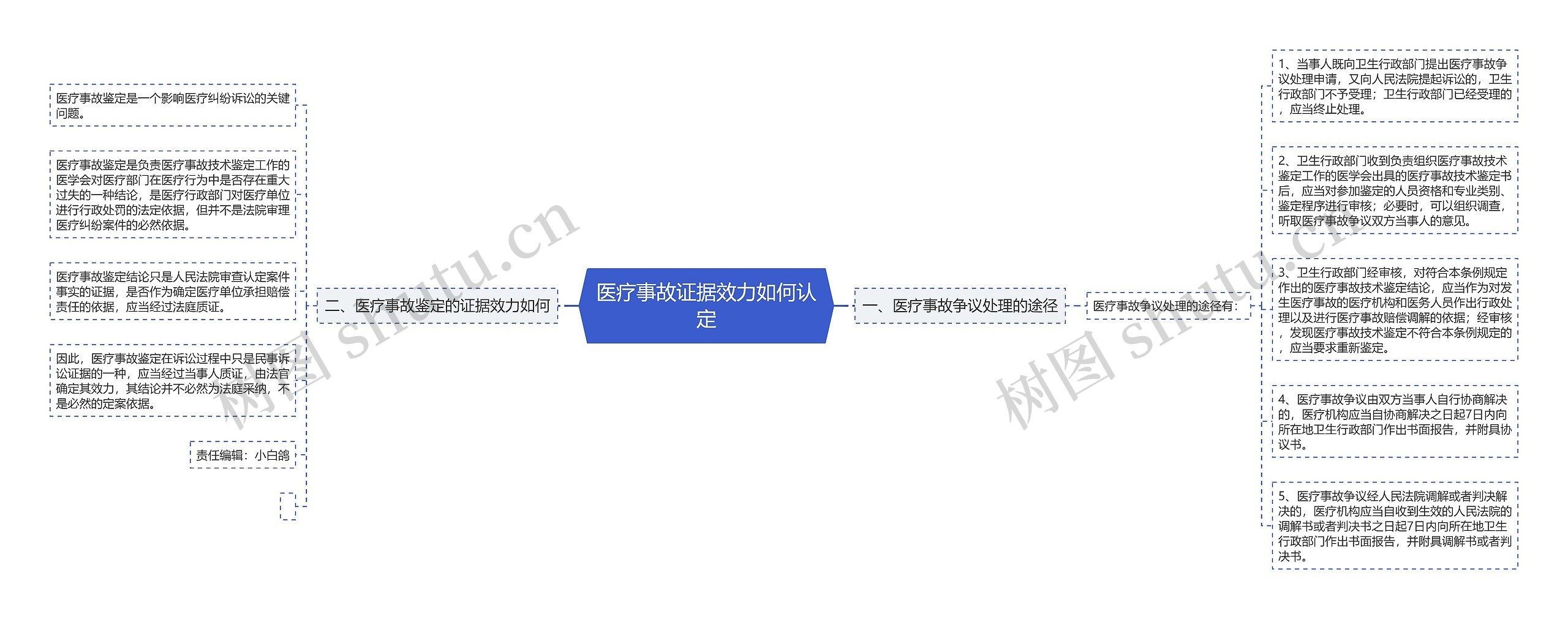 医疗事故证据效力如何认定思维导图