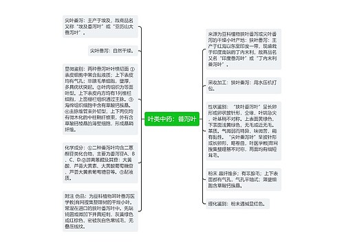 叶类中药：番泻叶思维导图