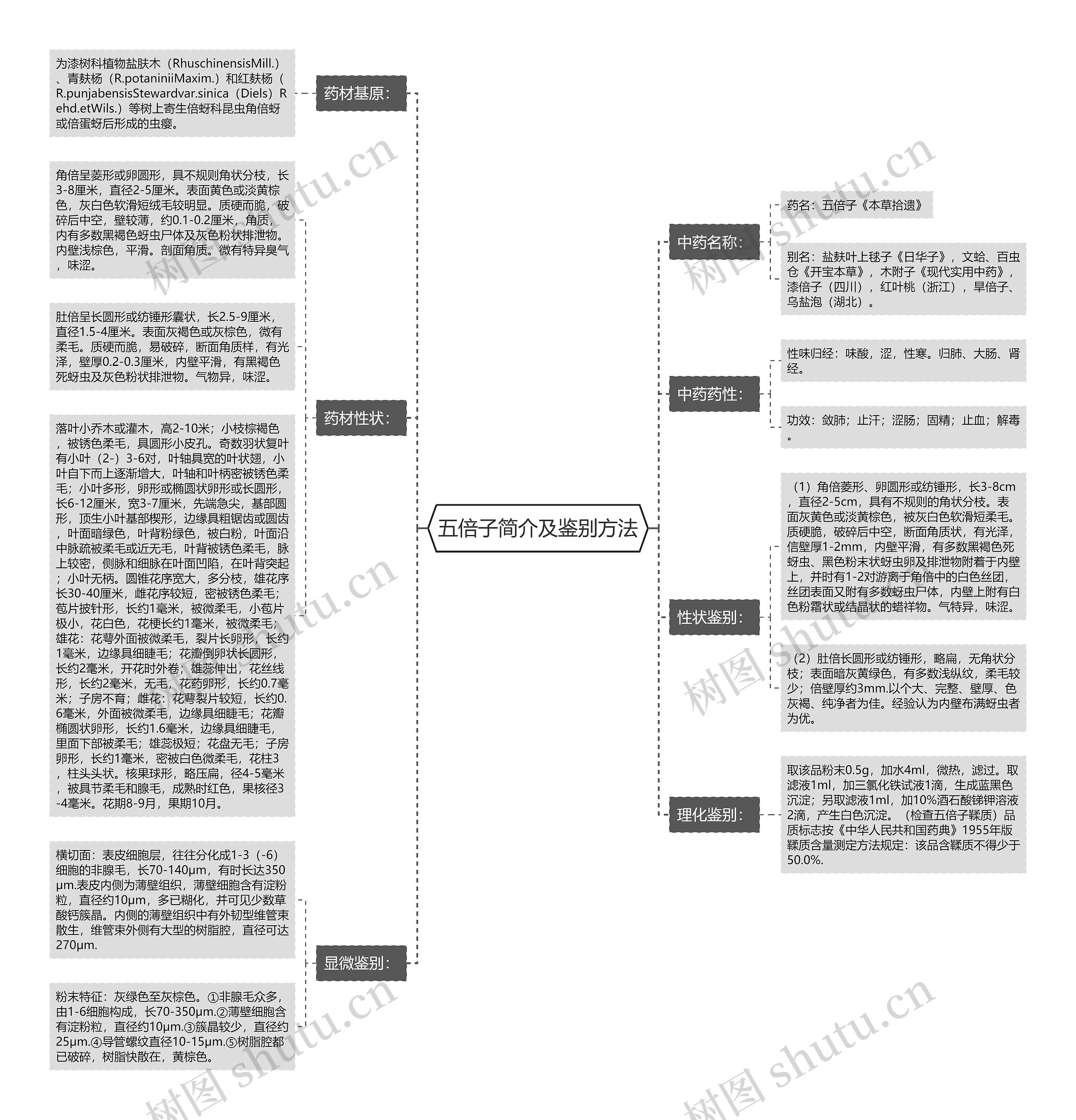 五倍子简介及鉴别方法思维导图