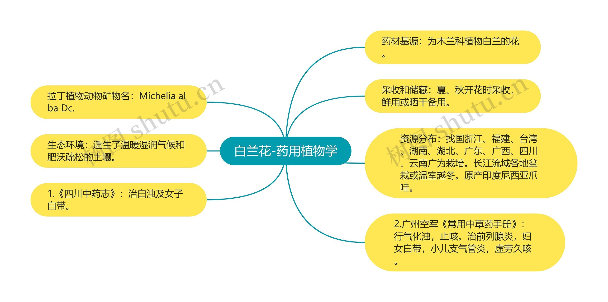 白兰花-药用植物学思维导图