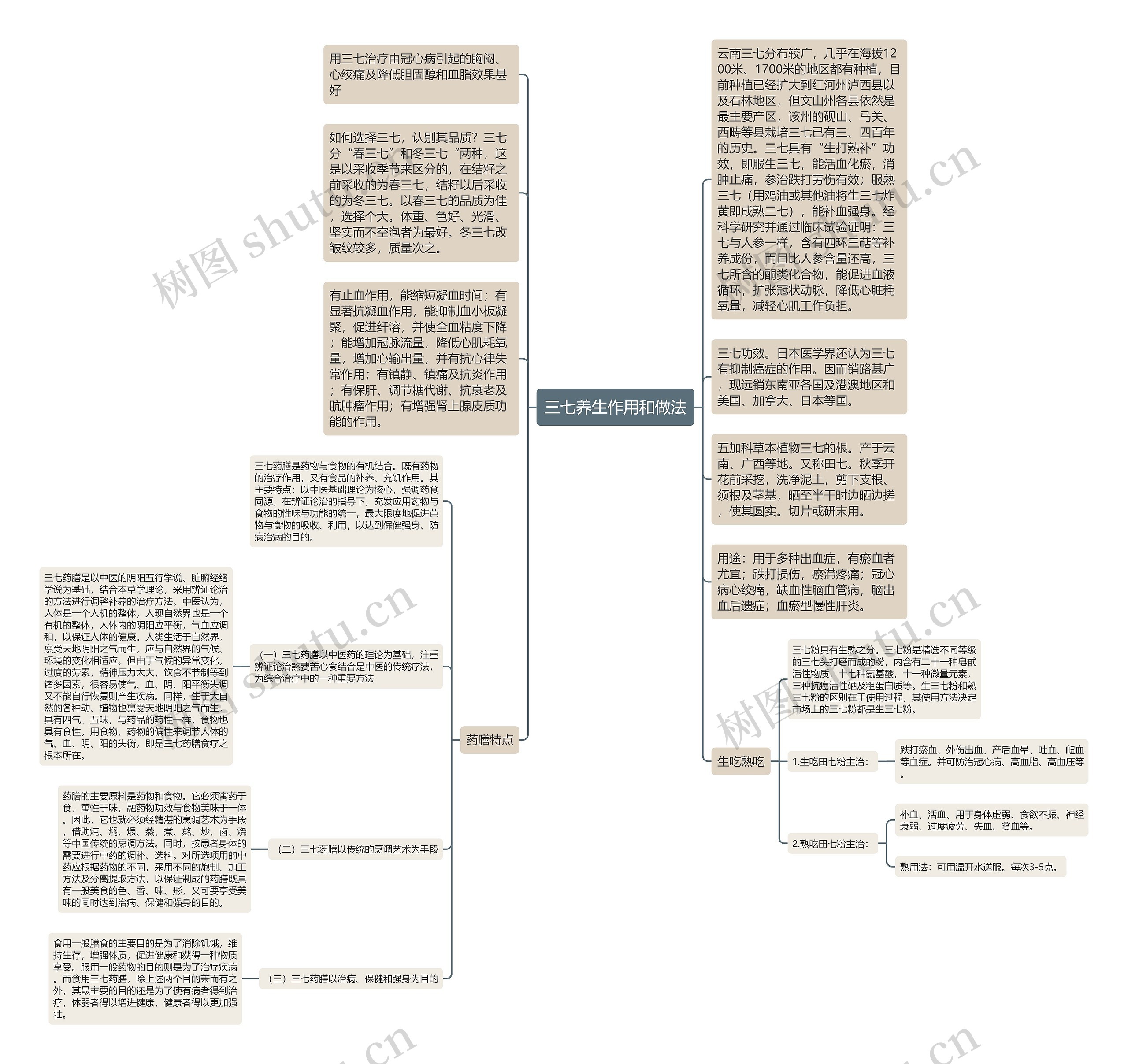 三七养生作用和做法思维导图