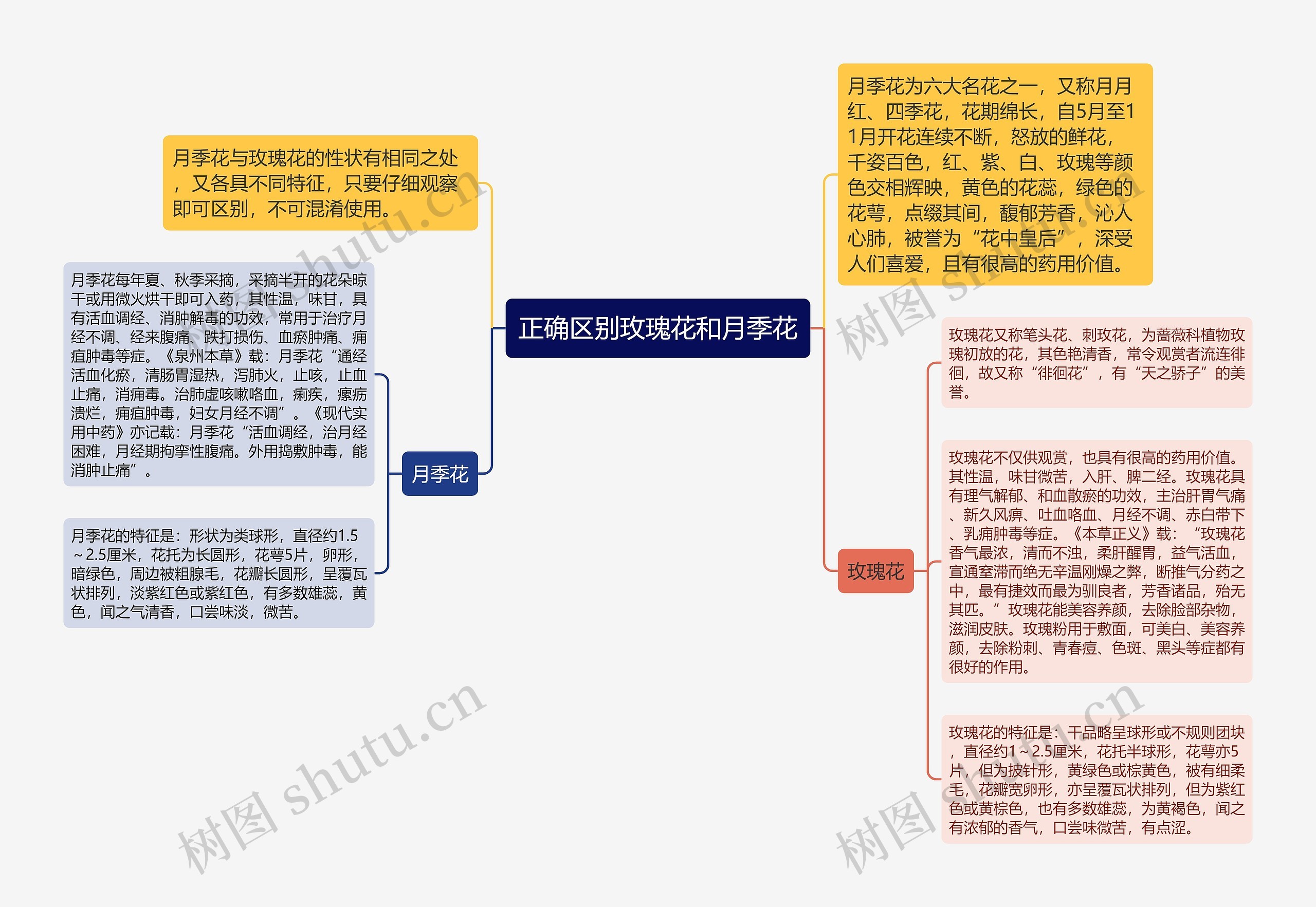 正确区别玫瑰花和月季花 正确区别玫瑰花和月季花