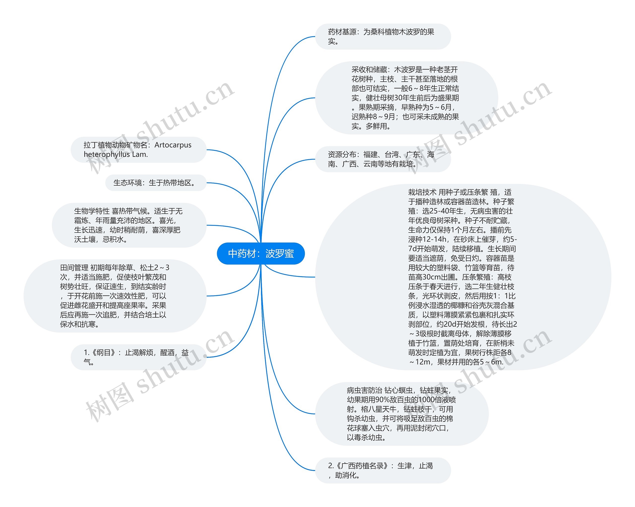 中药材：波罗蜜