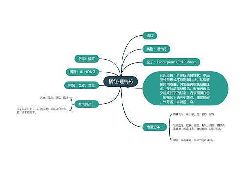 橘红-理气药