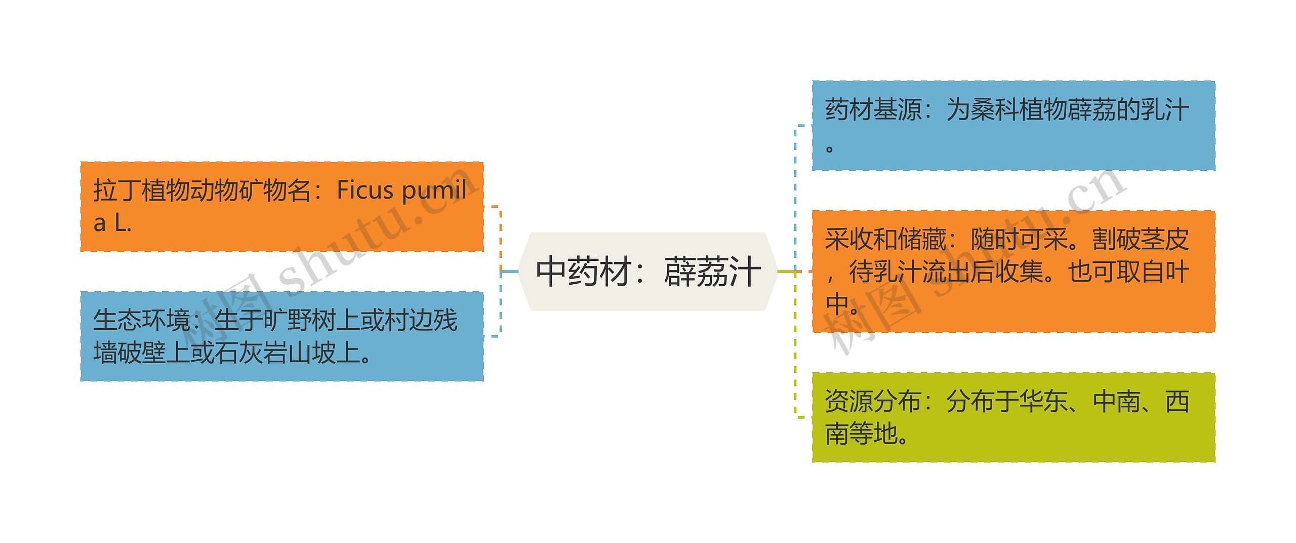 中药材：薜荔汁思维导图