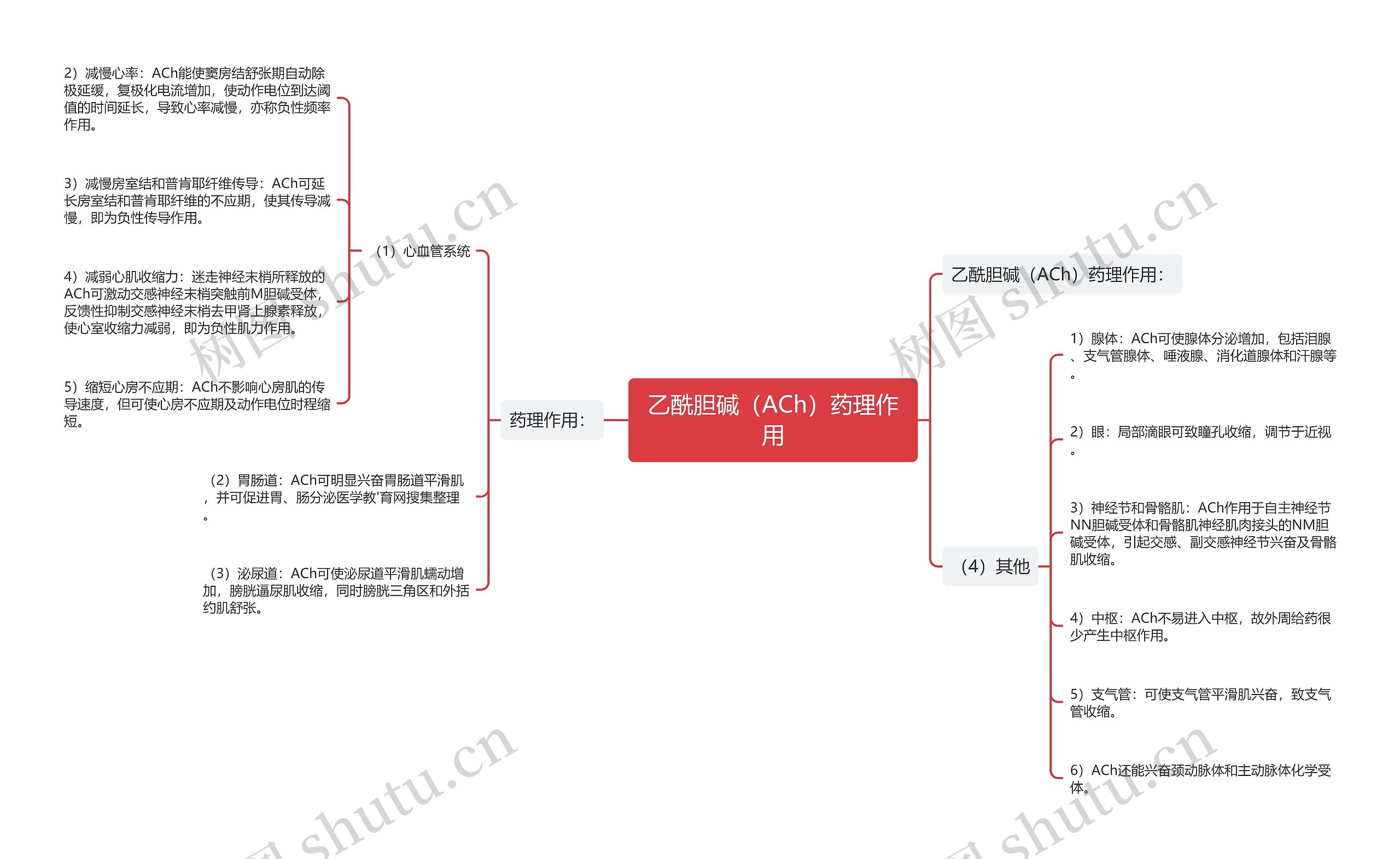 乙酰胆碱（ACh）药理作用思维导图