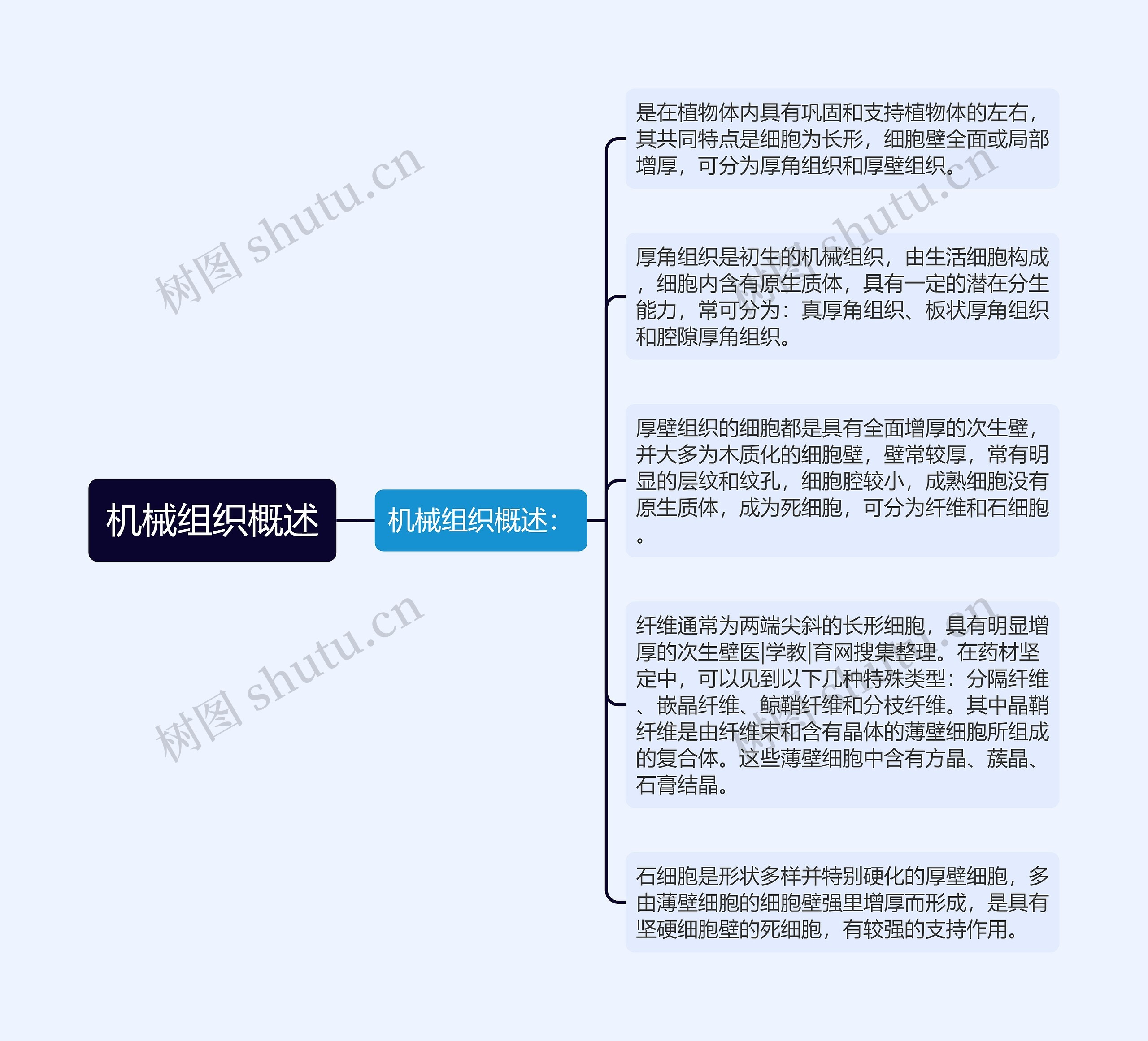 机械组织概述