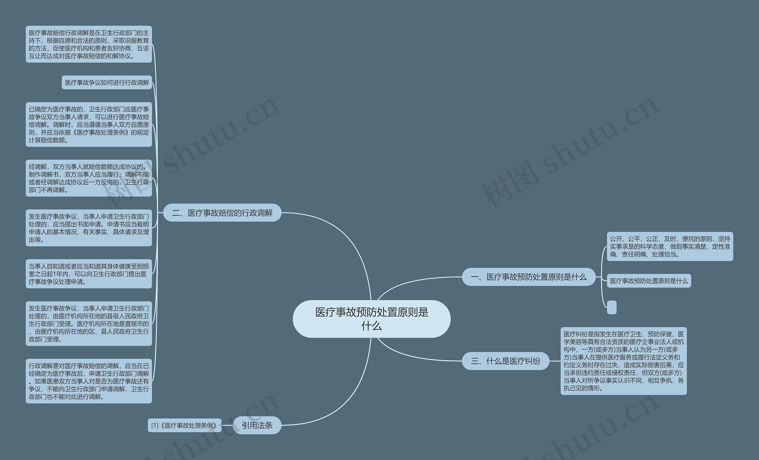 医疗事故预防处置原则是什么思维导图