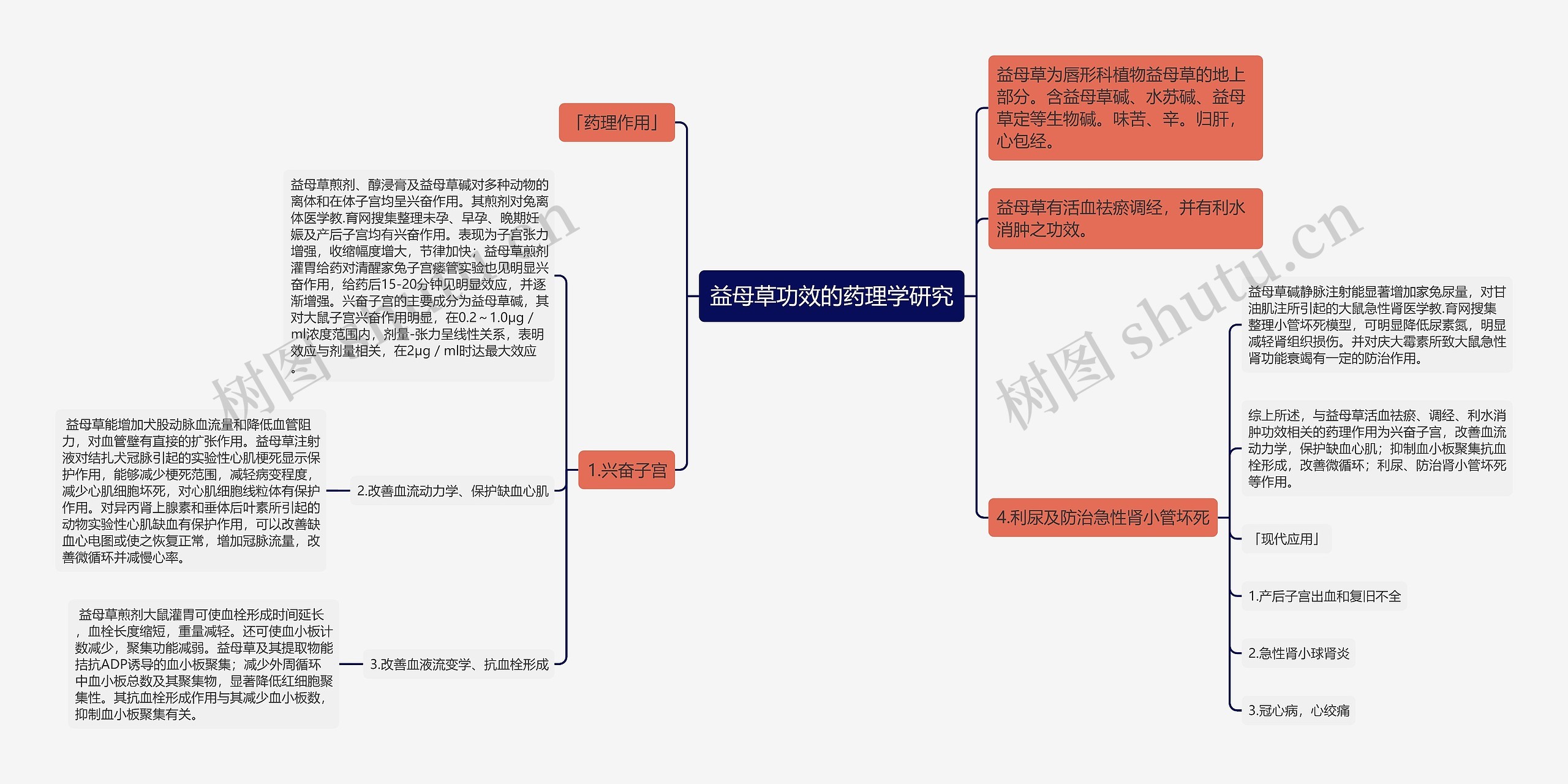 益母草功效的药理学研究思维导图