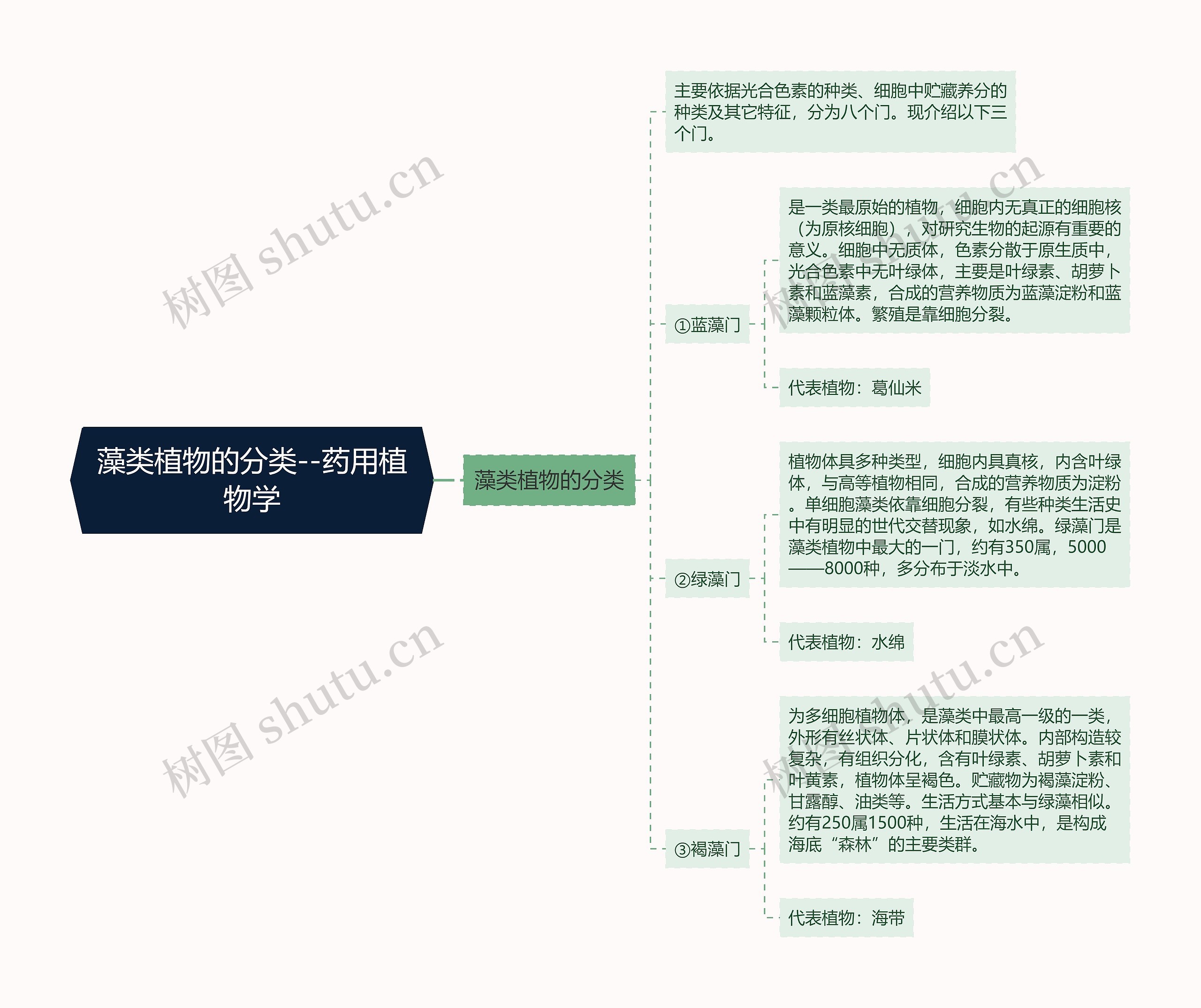 藻类植物的分类--药用植物学 藻类植物的分类--药用植物学