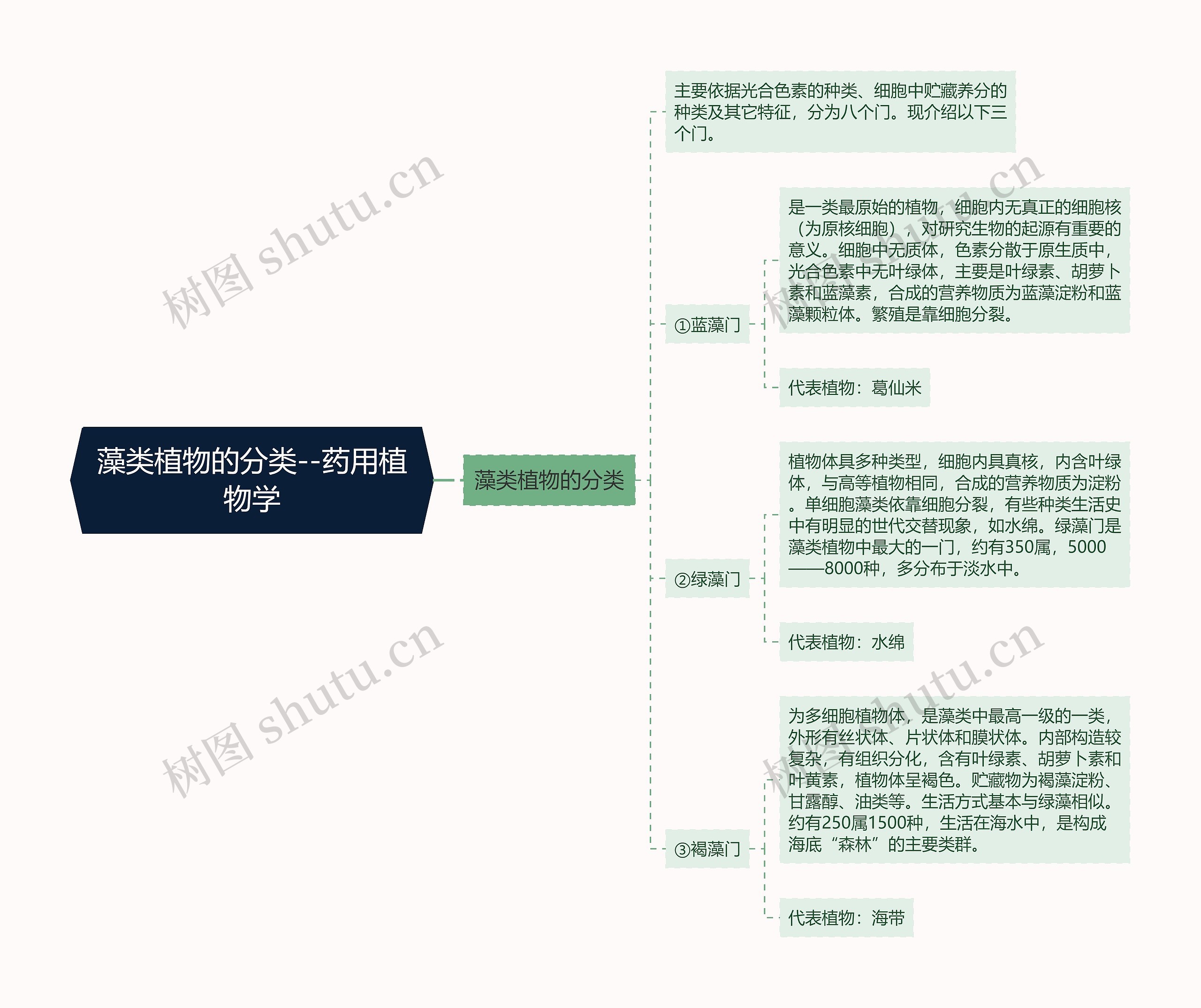 藻类植物的分类--药用植物学思维导图
