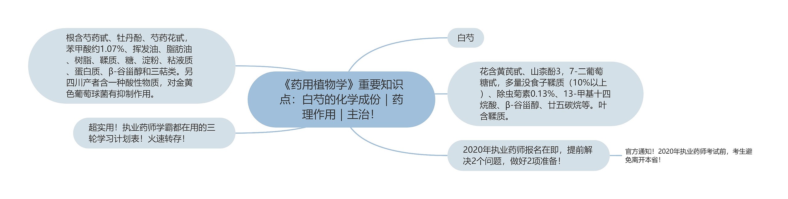 《药用植物学》重要知识点：白芍的化学成份｜药理作用｜主治！思维导图