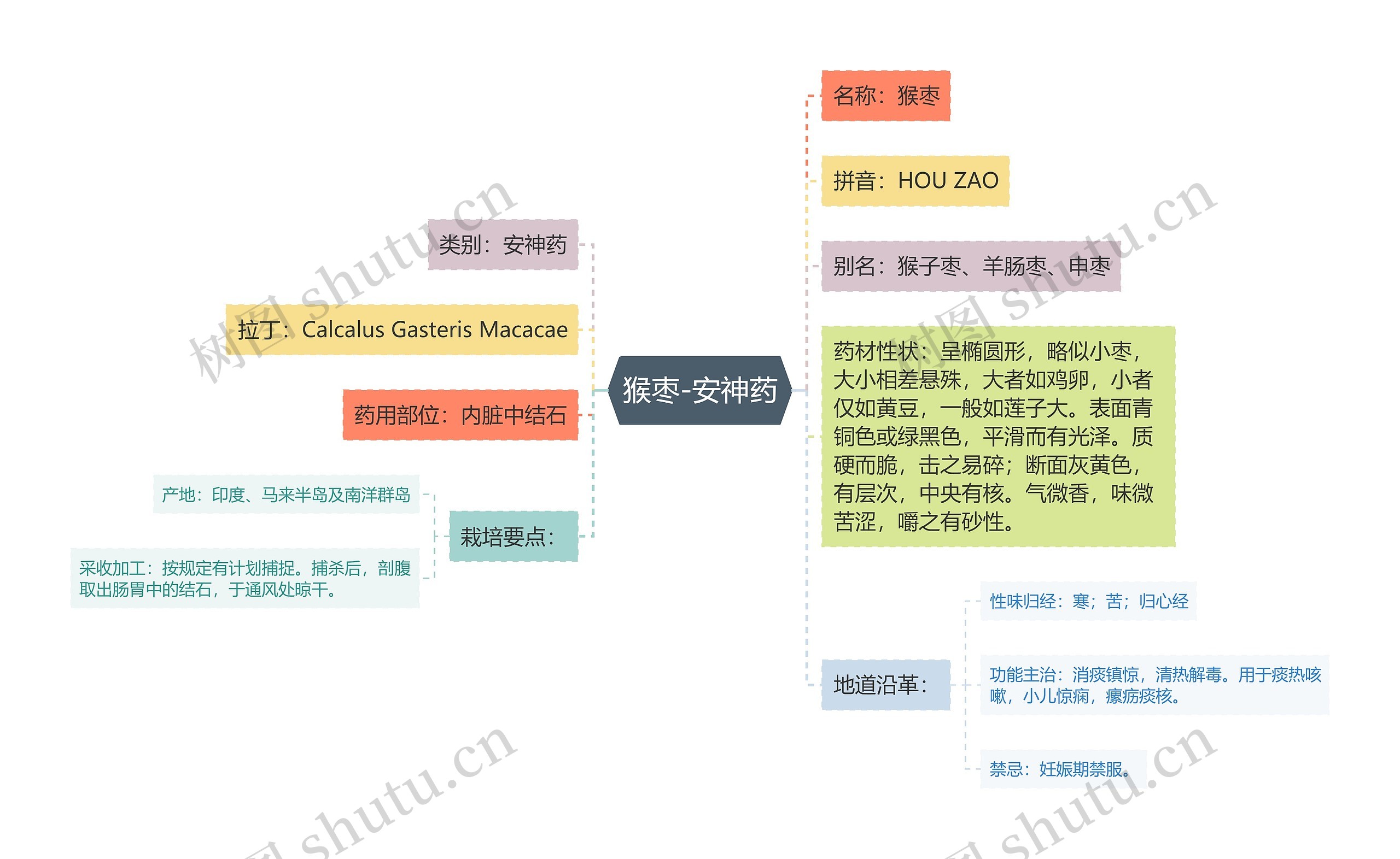 猴枣-安神药思维导图