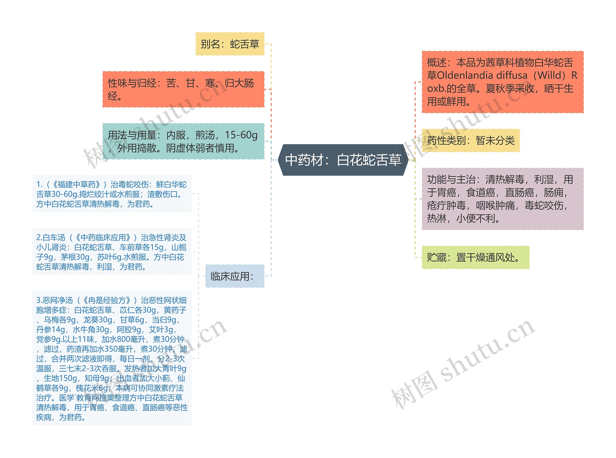 中药材：白花蛇舌草思维导图