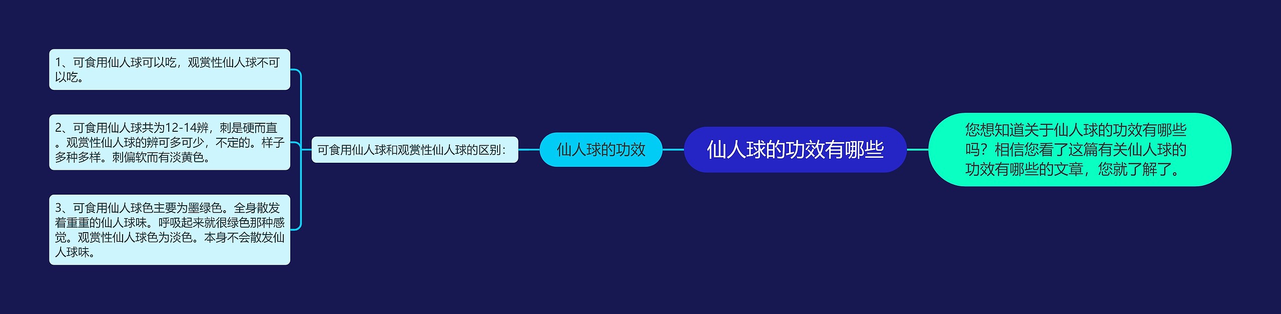 仙人球的功效有哪些
