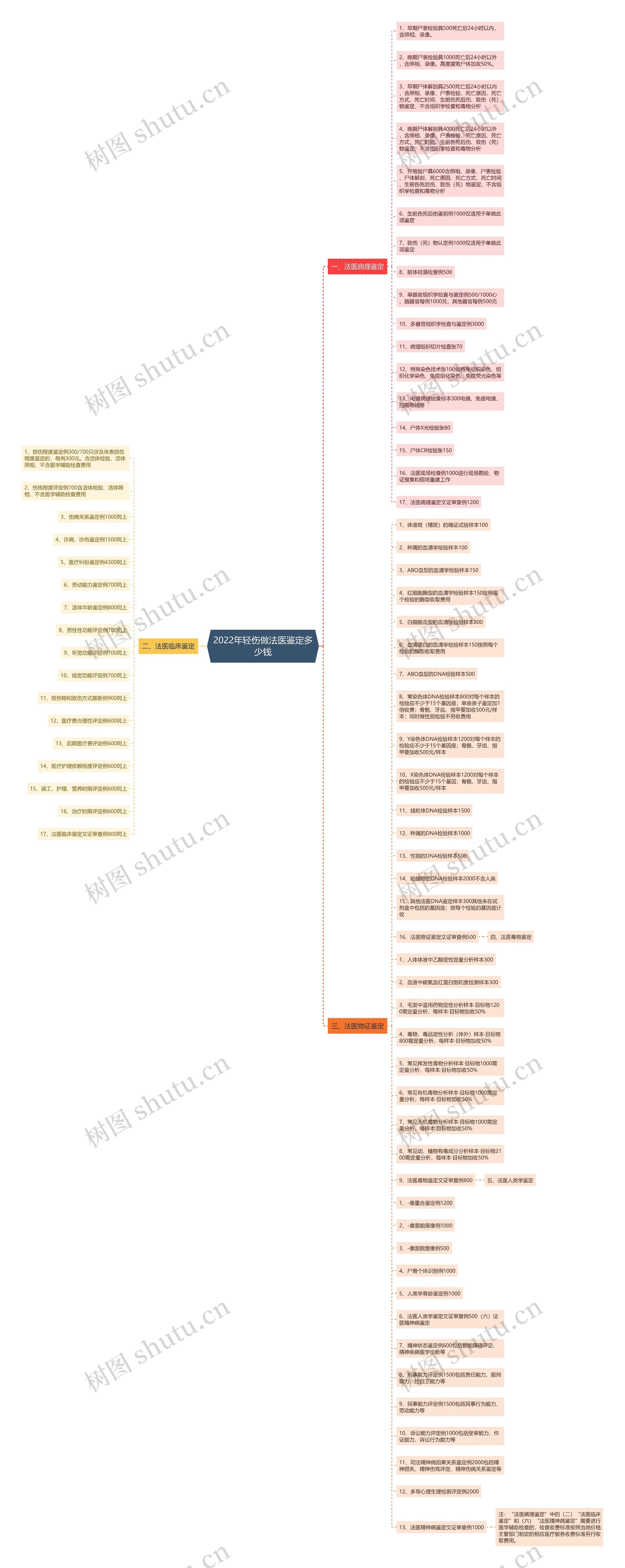 2022年轻伤做法医鉴定多少钱思维导图