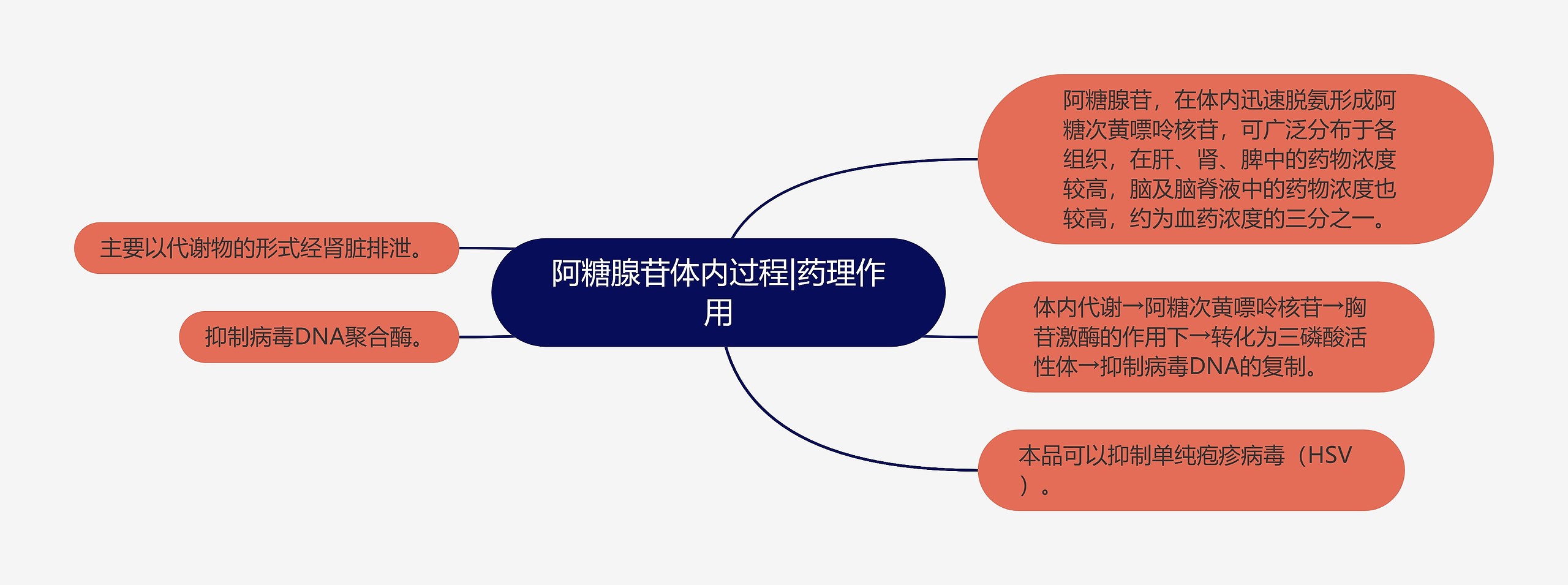 阿糖腺苷体内过程|药理作用