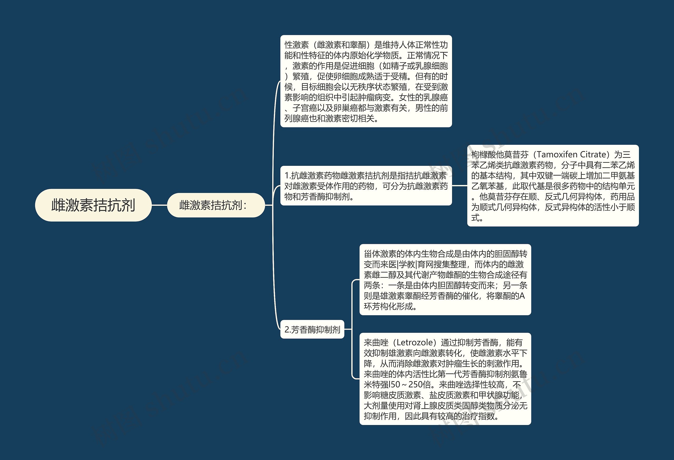 雌激素拮抗剂思维导图