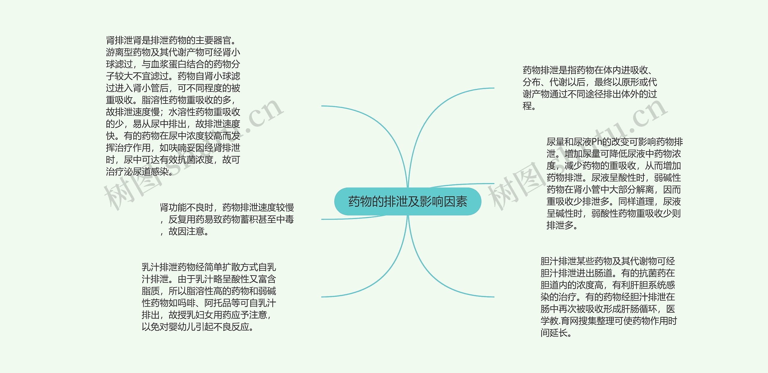 药物的排泄及影响因素思维导图