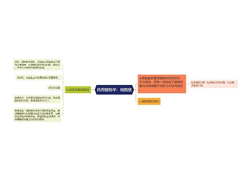 药用植物学：细胞壁
