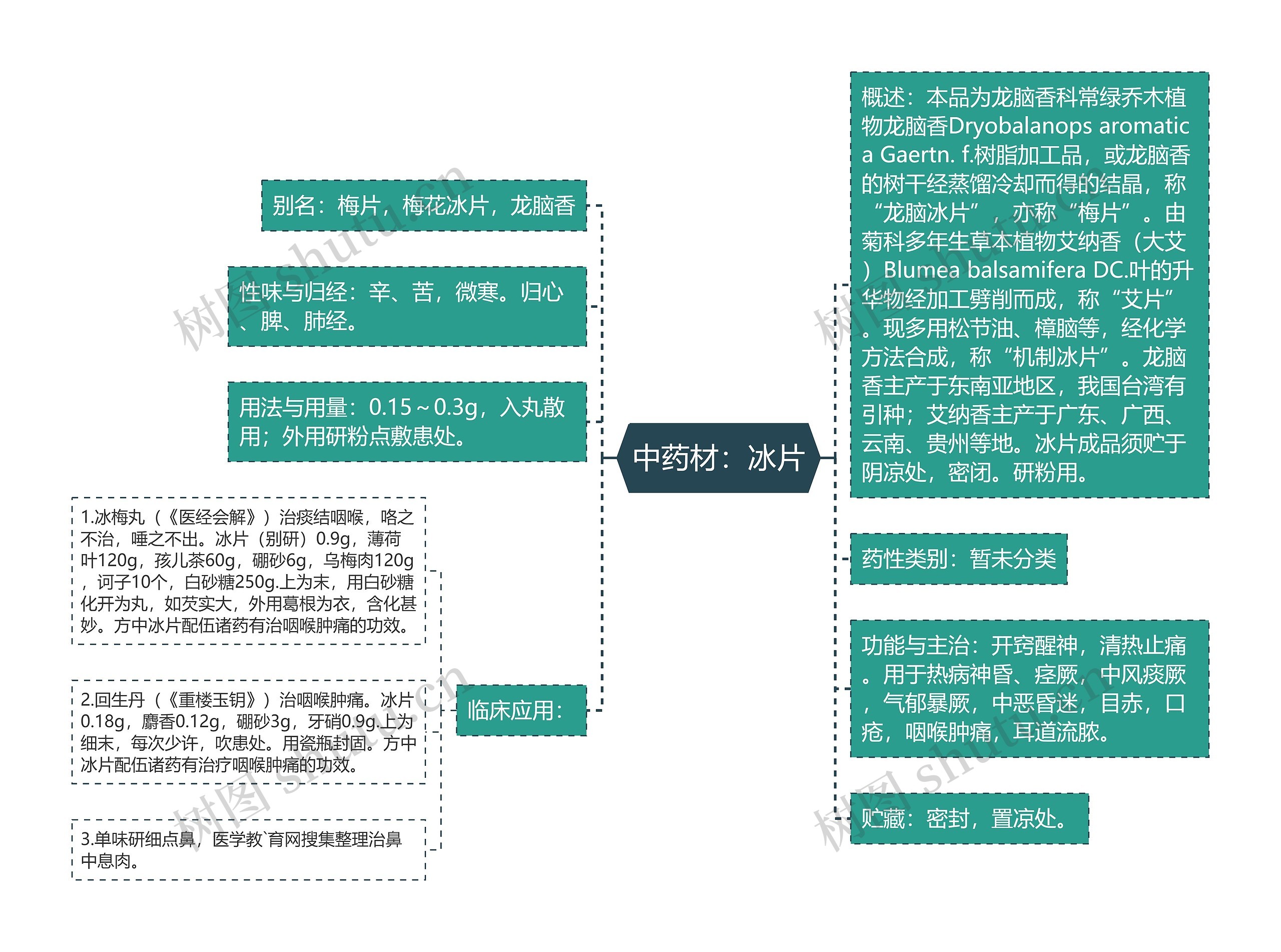 中药材：冰片思维导图