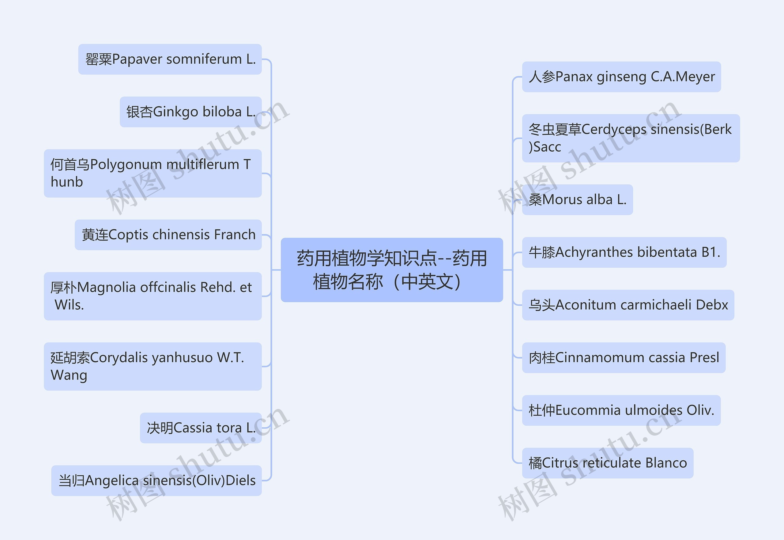 药用植物学知识点--药用植物名称（中英文）思维导图