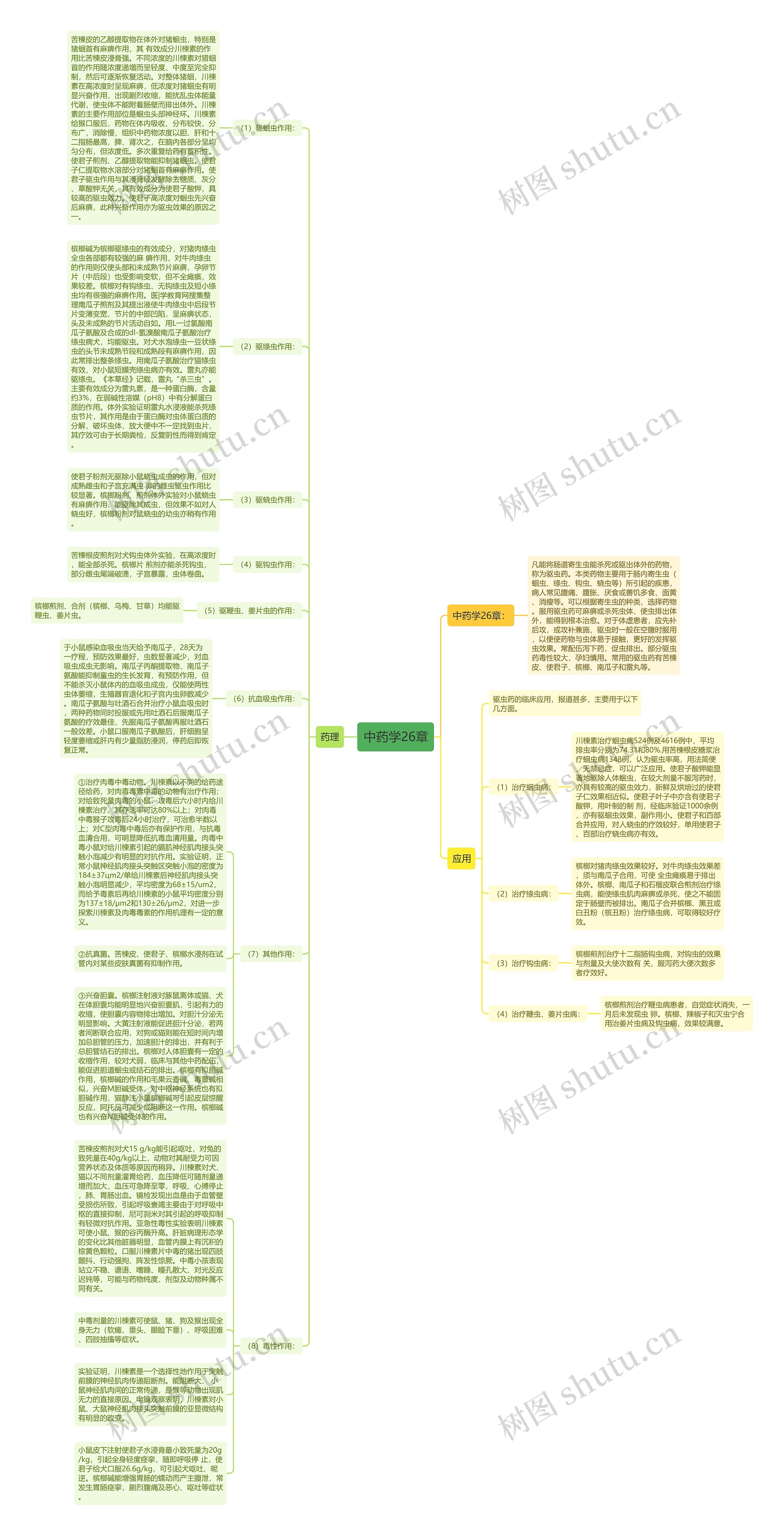 中药学26章思维导图