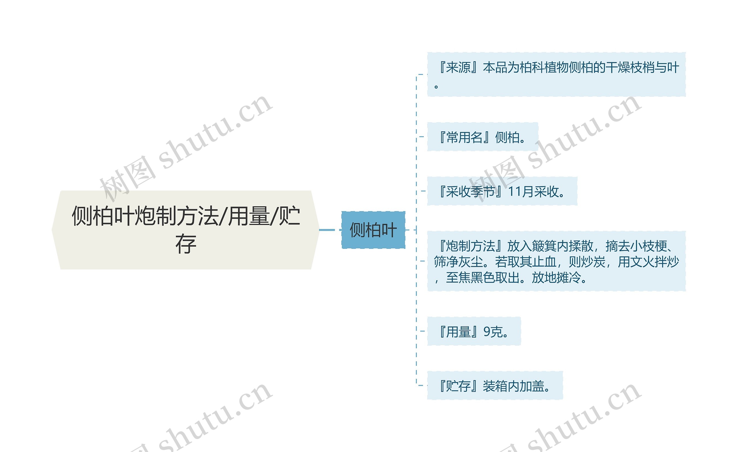 侧柏叶炮制方法/用量/贮存