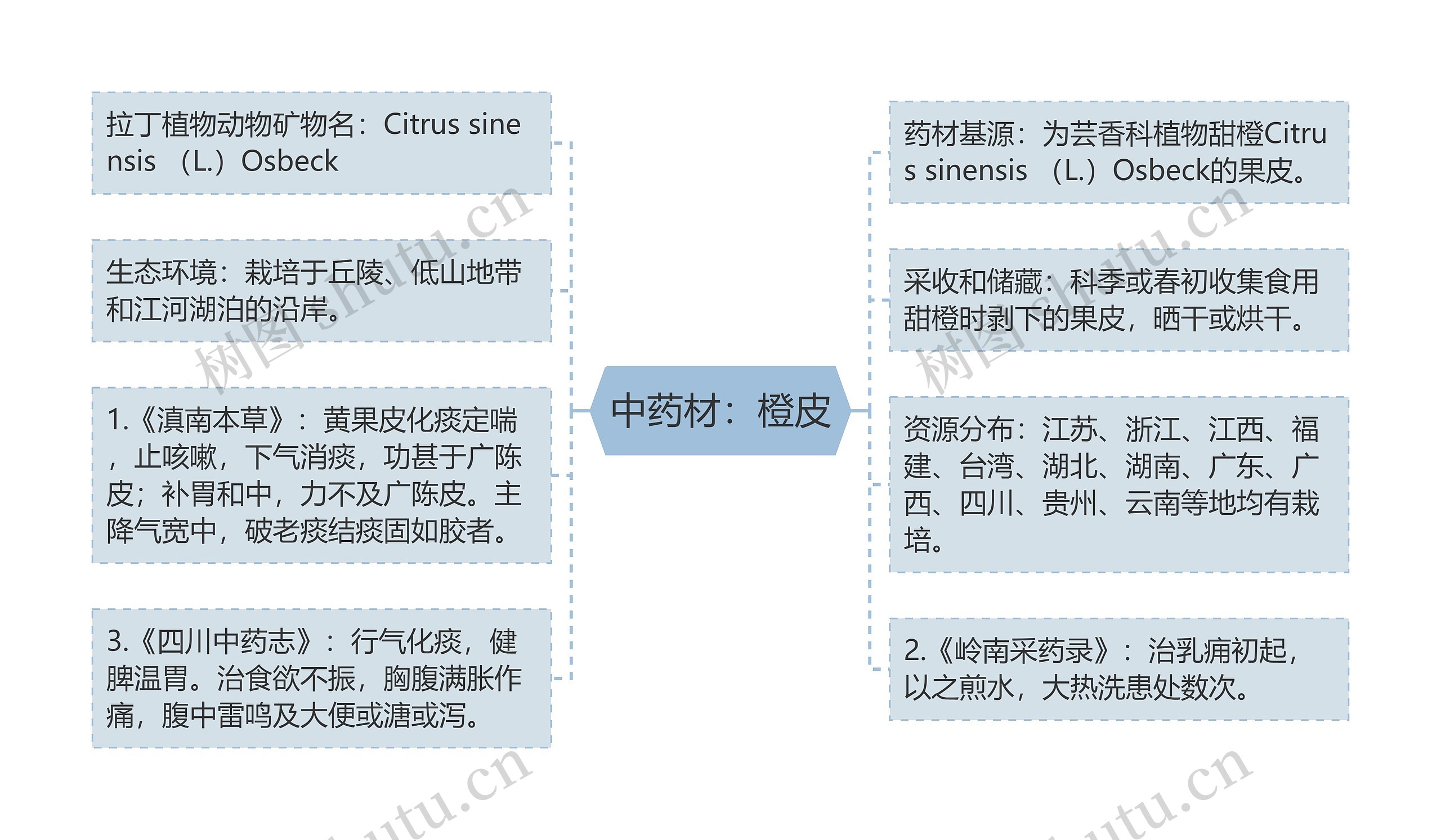 中药材：橙皮思维导图