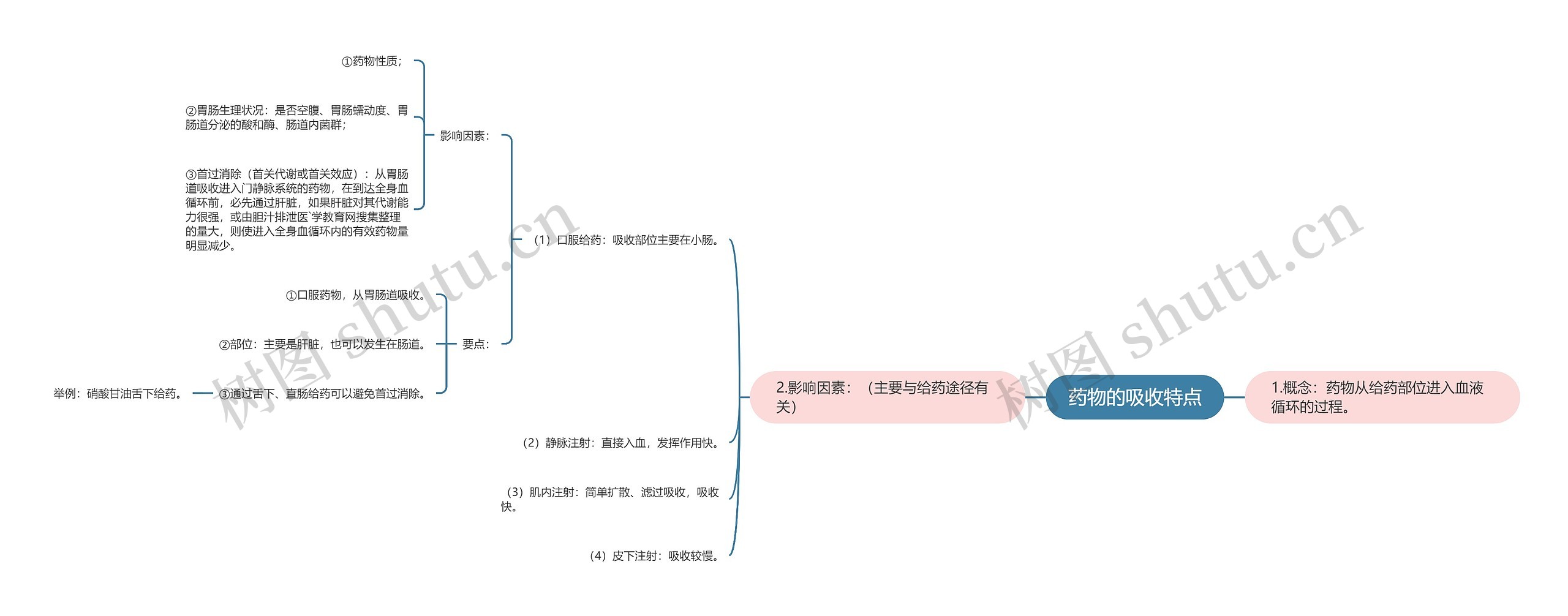 药物的吸收特点思维导图