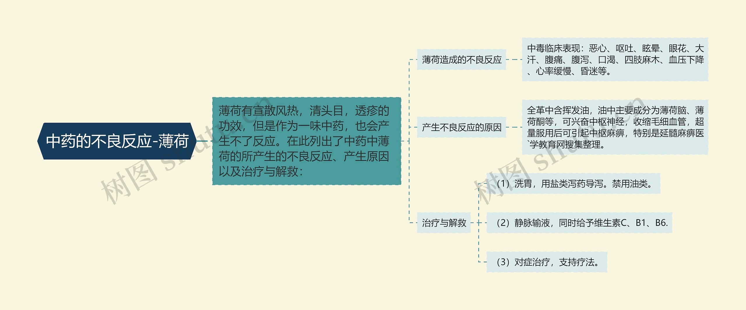 中药的不良反应-薄荷思维导图