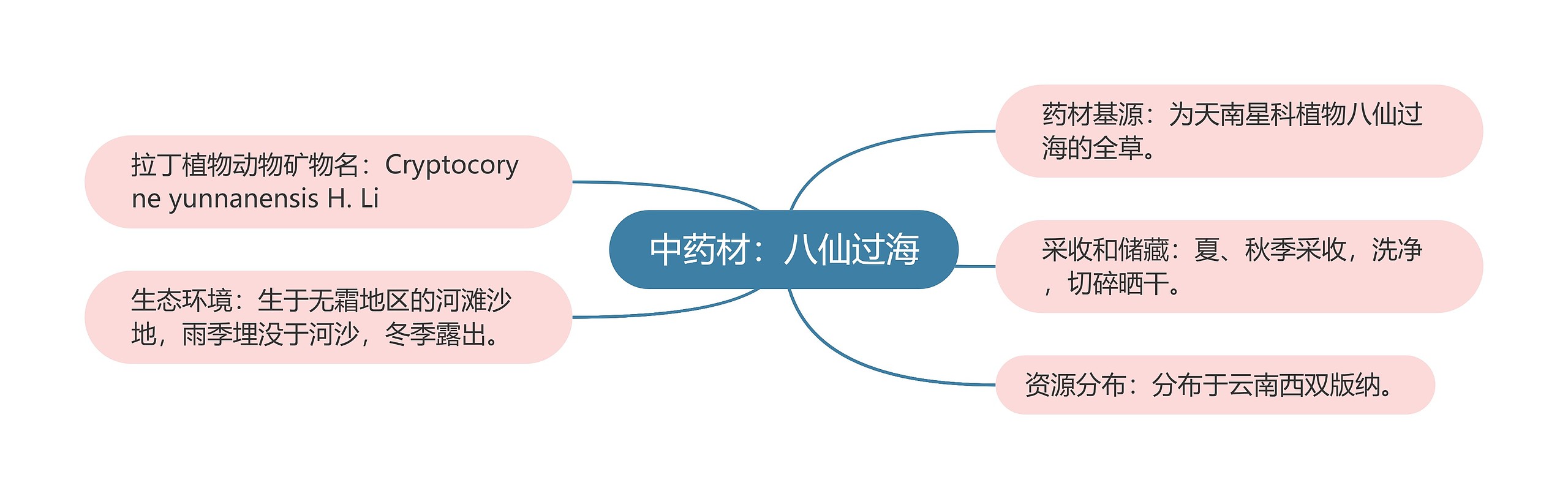 中药材：八仙过海思维导图