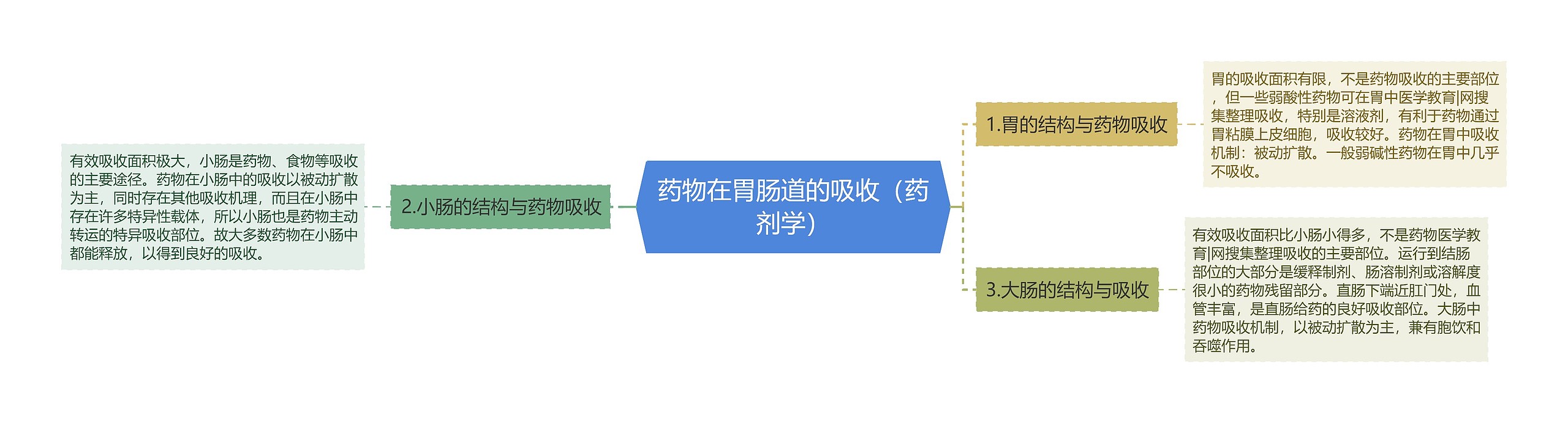 药物在胃肠道的吸收（药剂学）思维导图