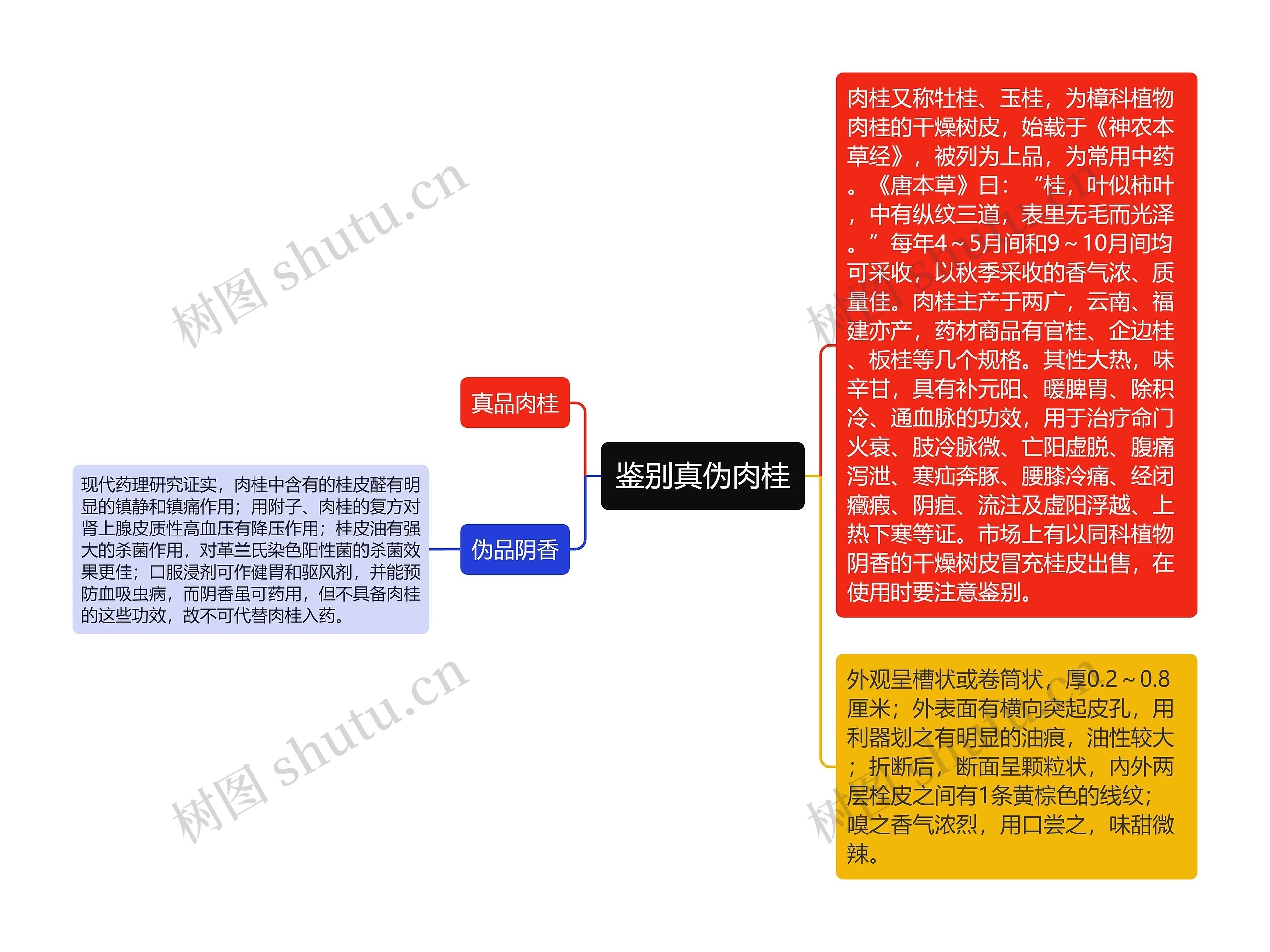 鉴别真伪肉桂思维导图