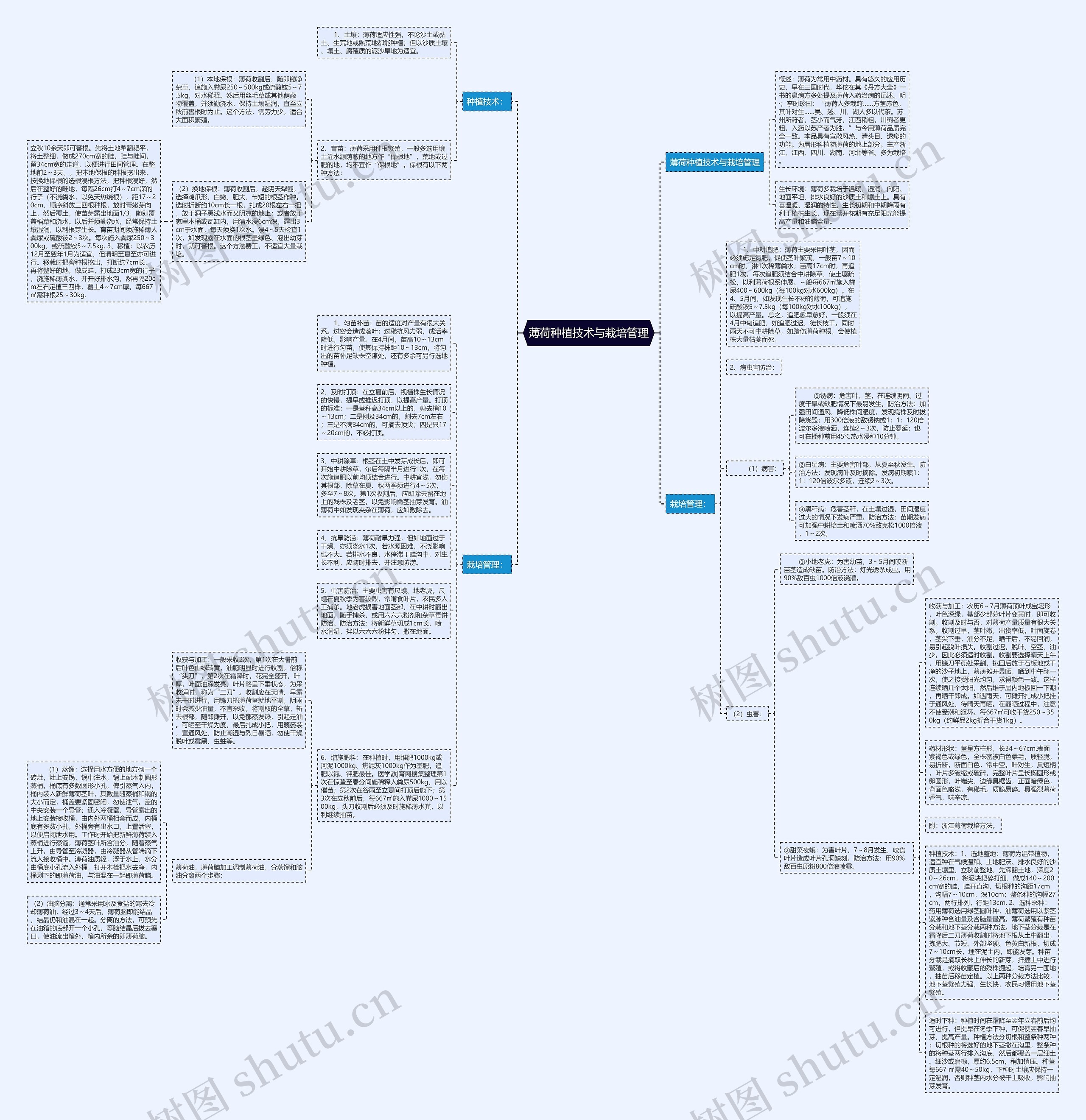薄荷种植技术与栽培管理思维导图
