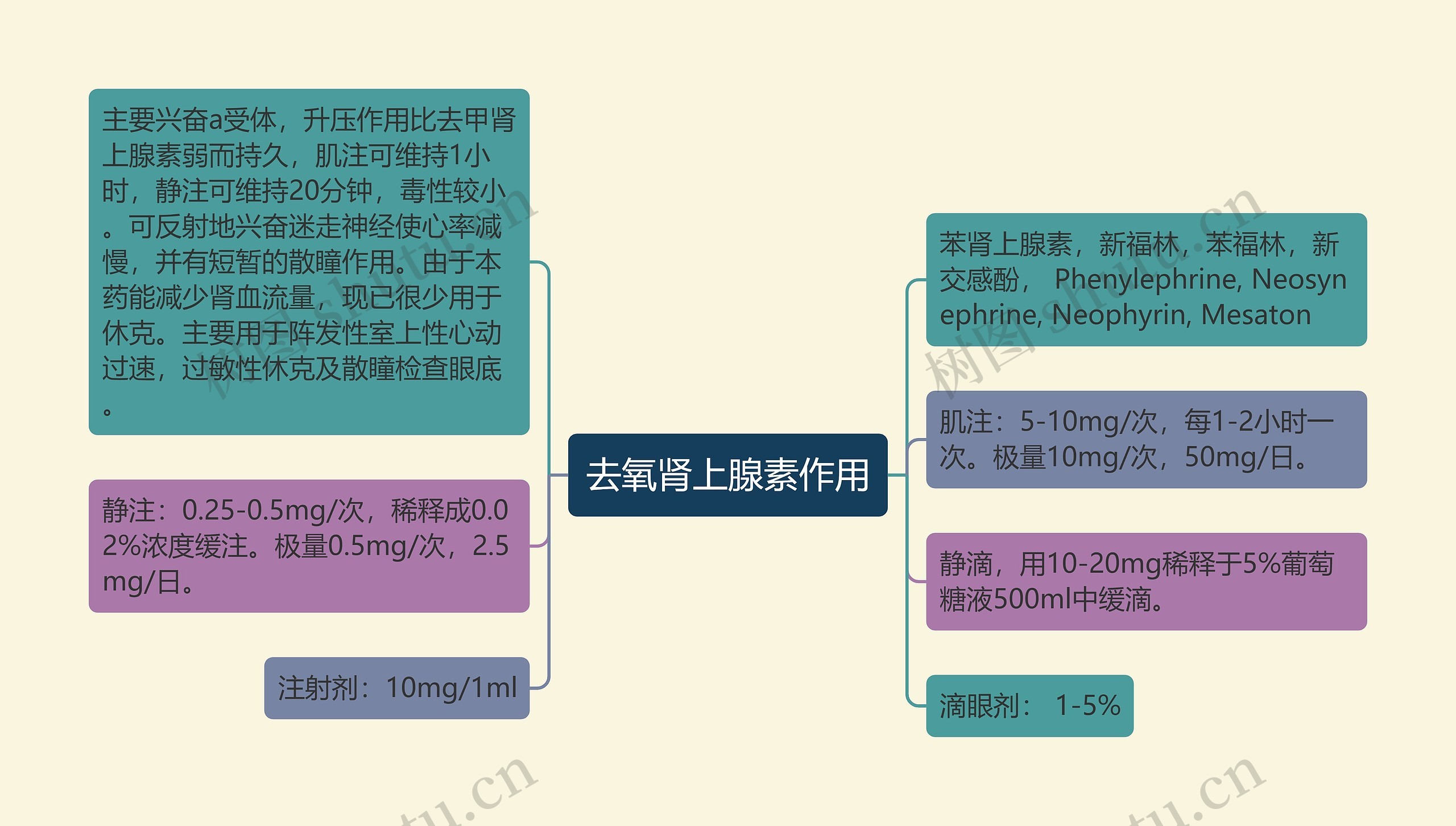 去氧肾上腺素作用 去氧肾上腺素作用
