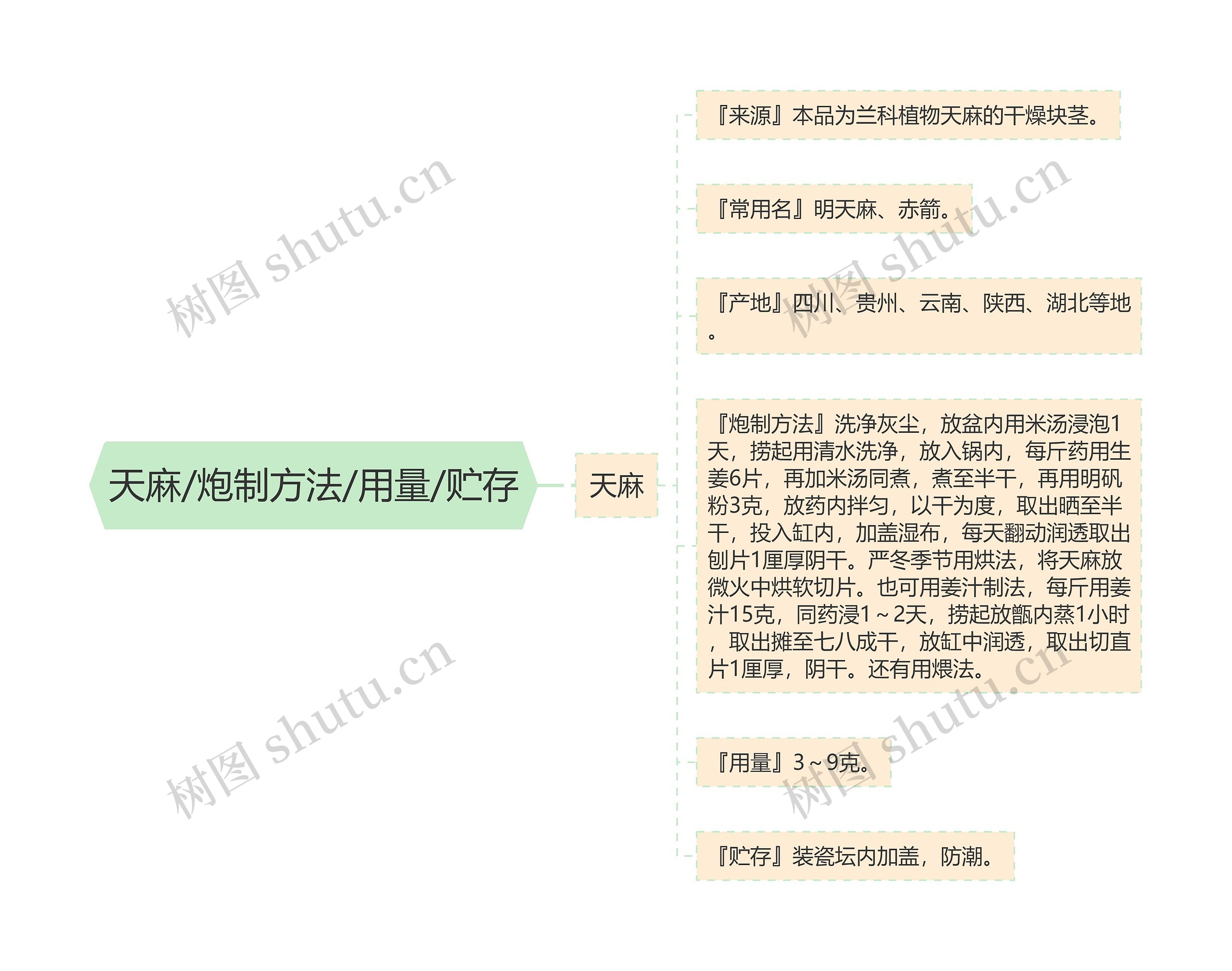 天麻/炮制方法/用量/贮存思维导图