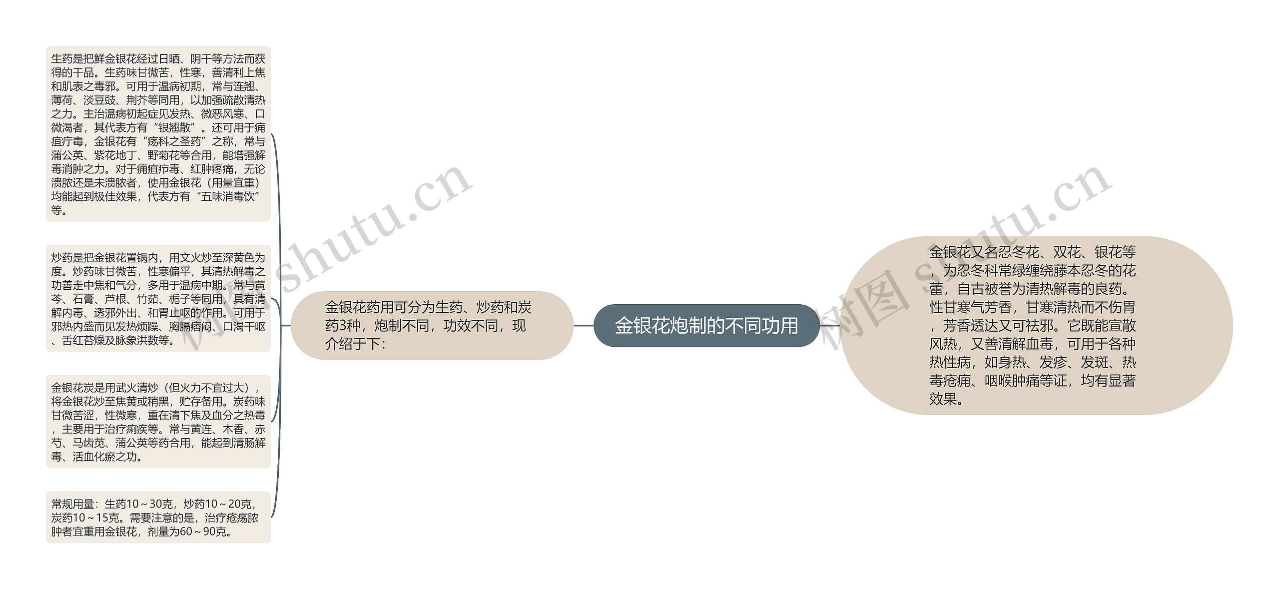 金银花炮制的不同功用