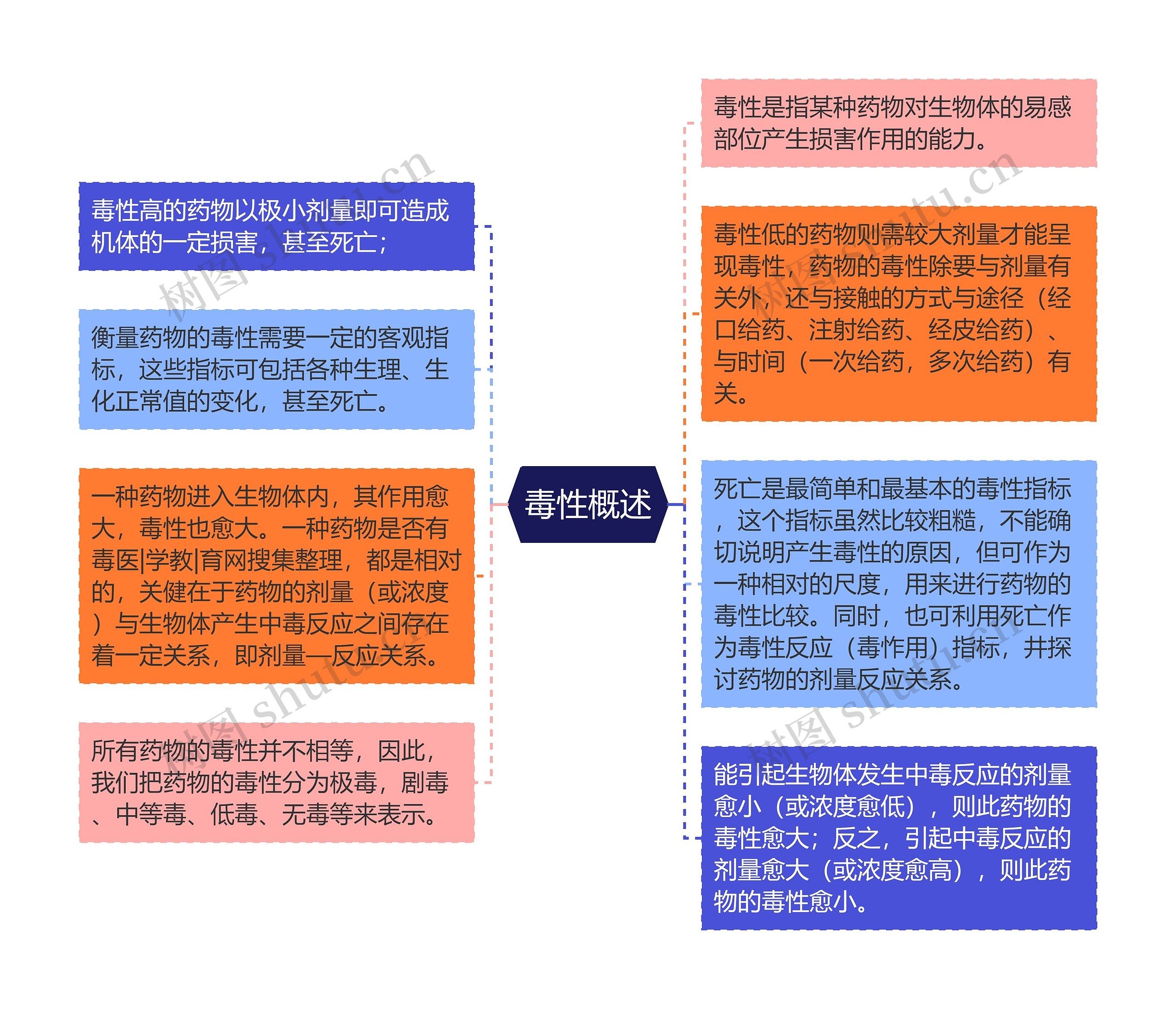 毒性概述思维导图